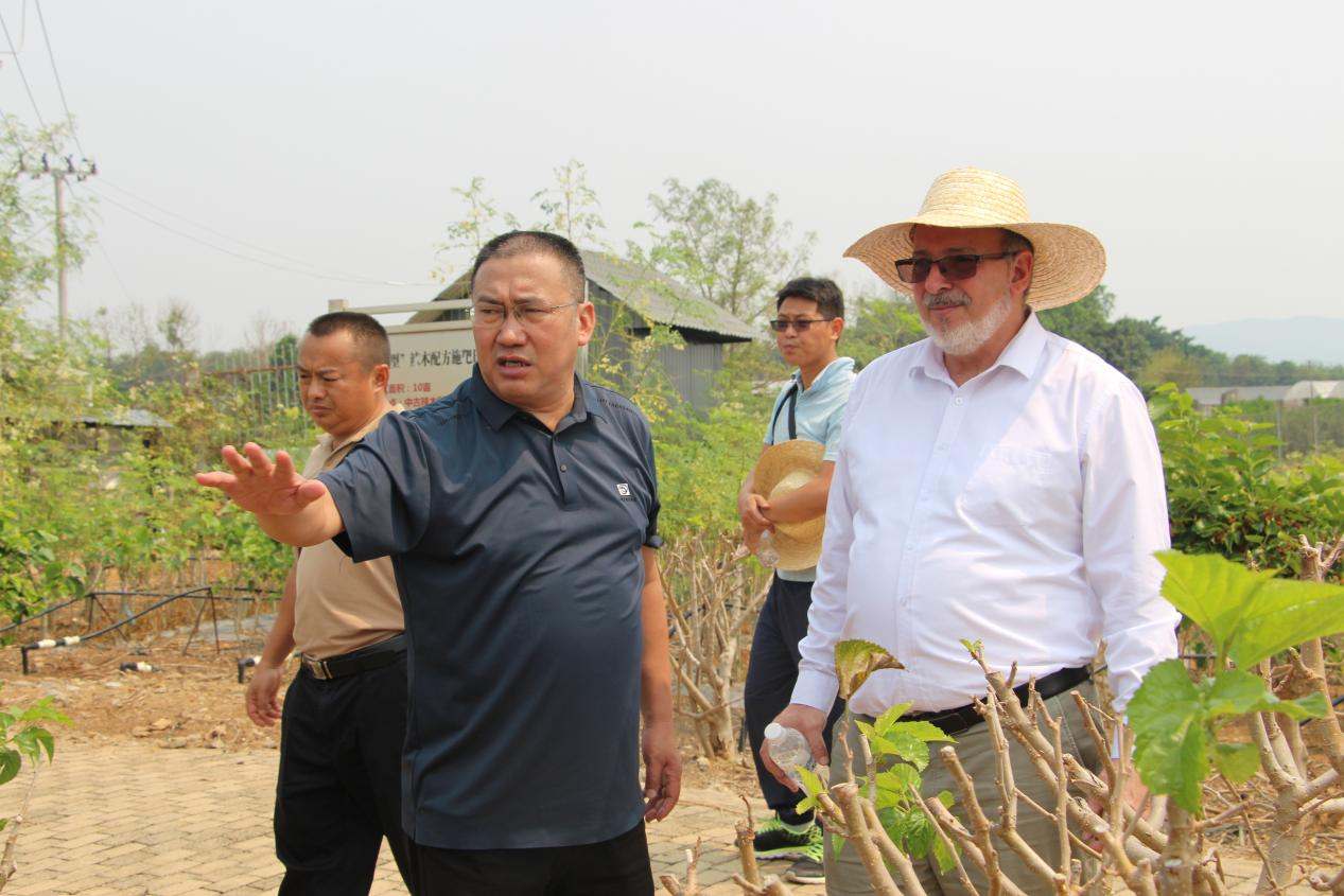 古巴驻华大使白诗德到访西双版纳调研辣木产业