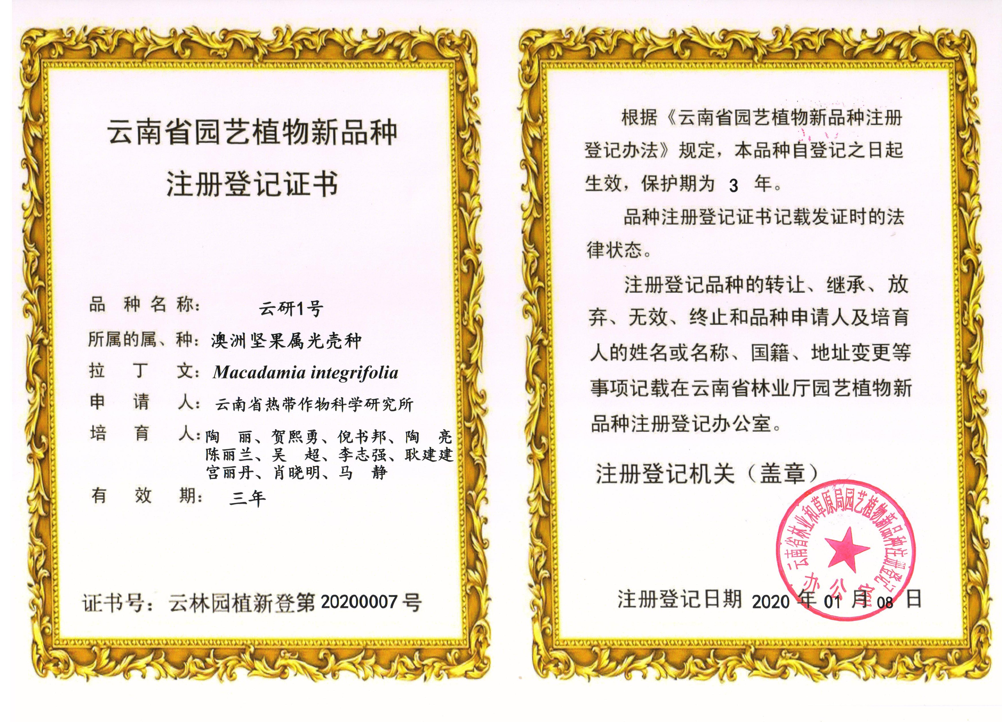 1761092263330064355.jpg 云研1号.jpg