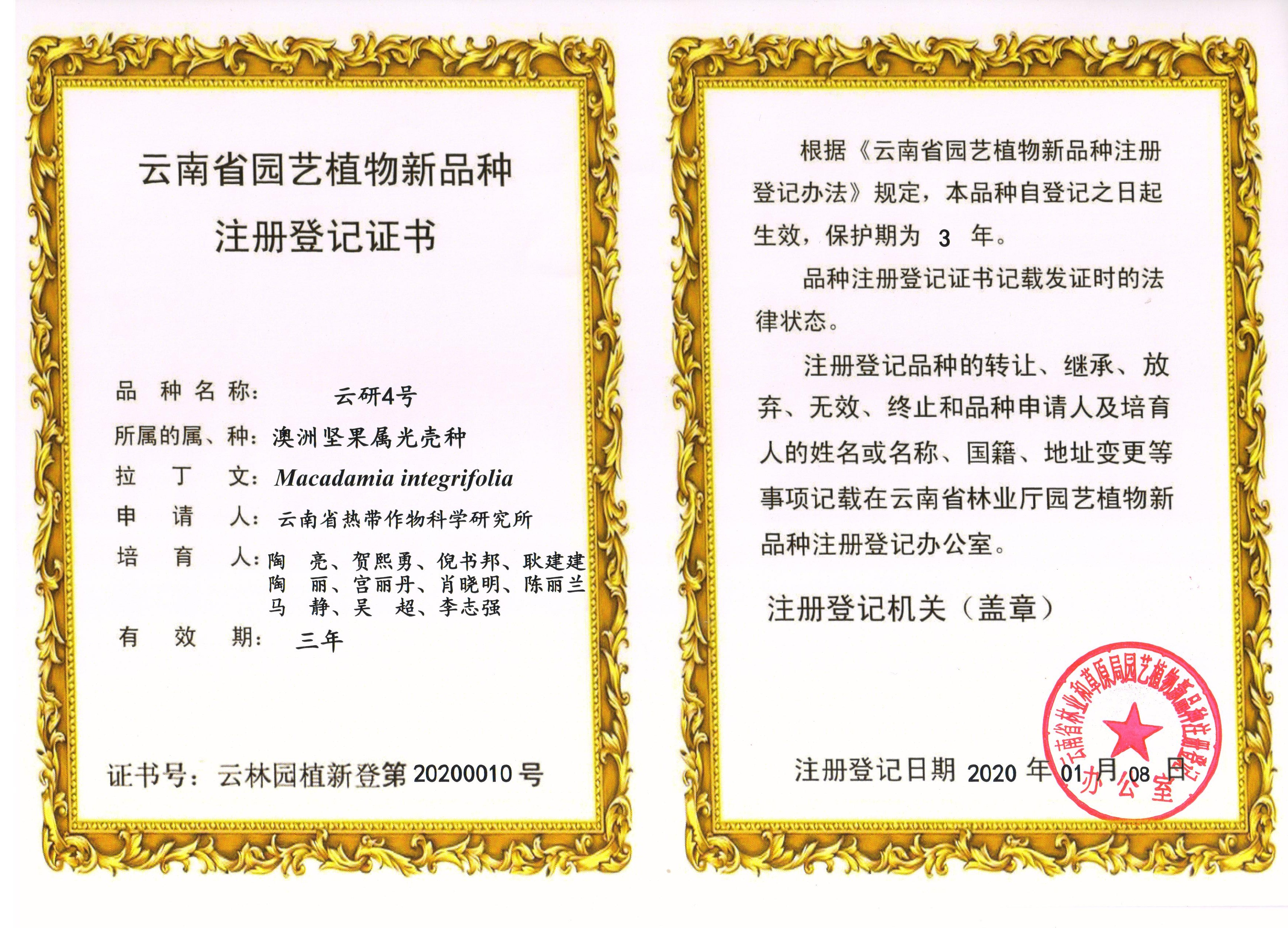 1761092685729052487.jpg 云研4号.jpg
