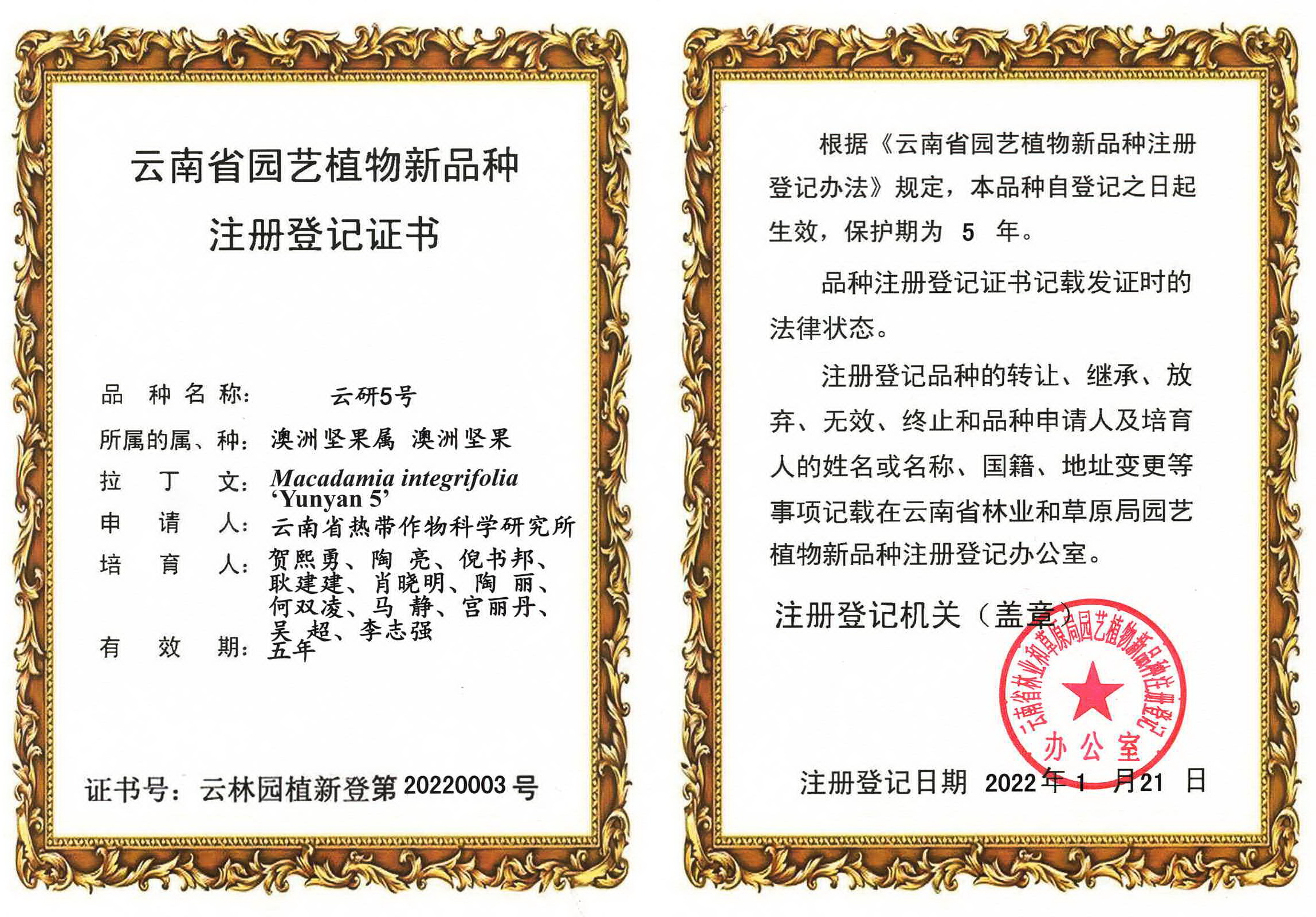 1761092785046020962.jpg 植物新品种云研5号注册登记证书.jpg