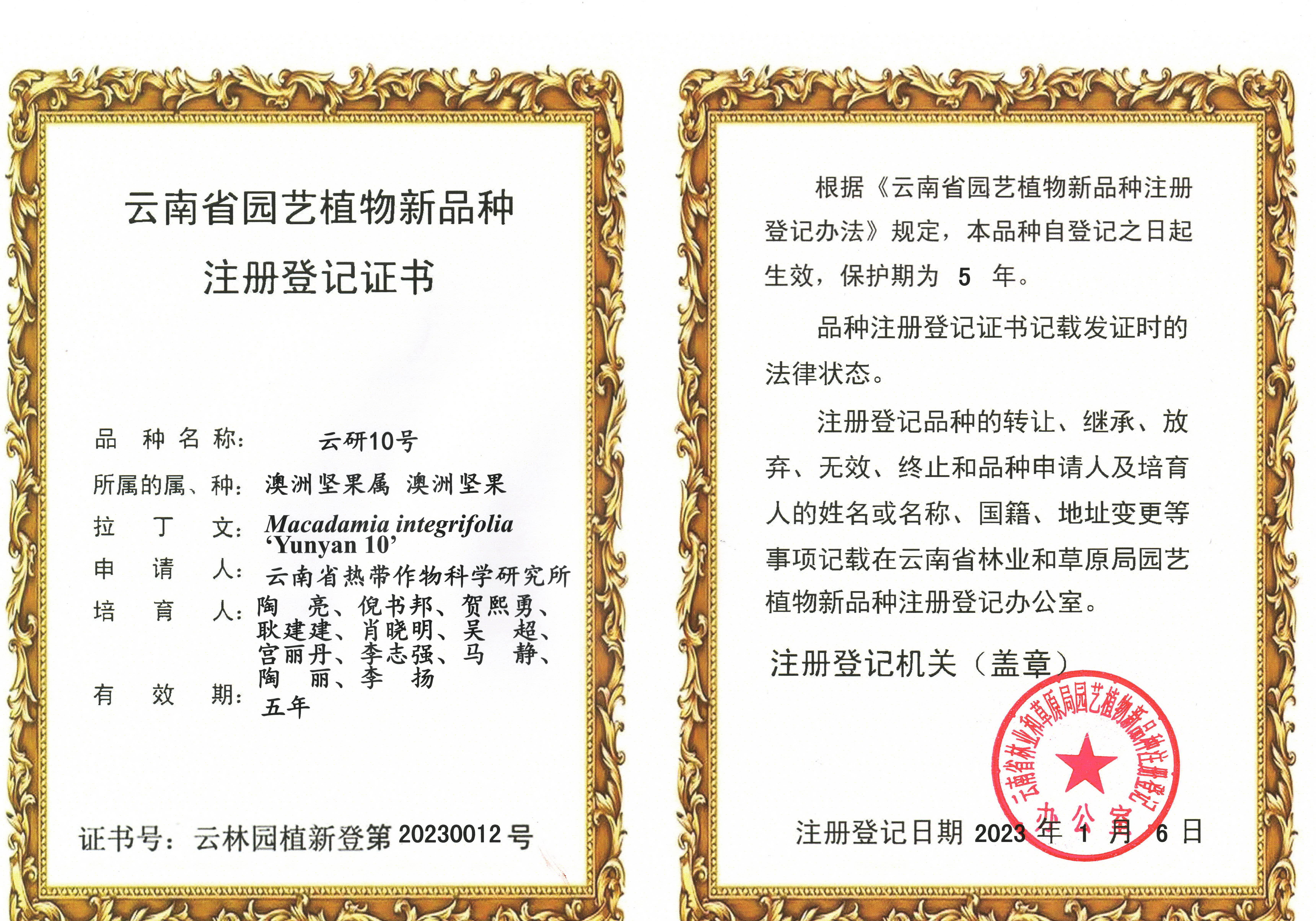 1761093197788075726.jpg 植物新品种云研10号注册登记证书.jpg