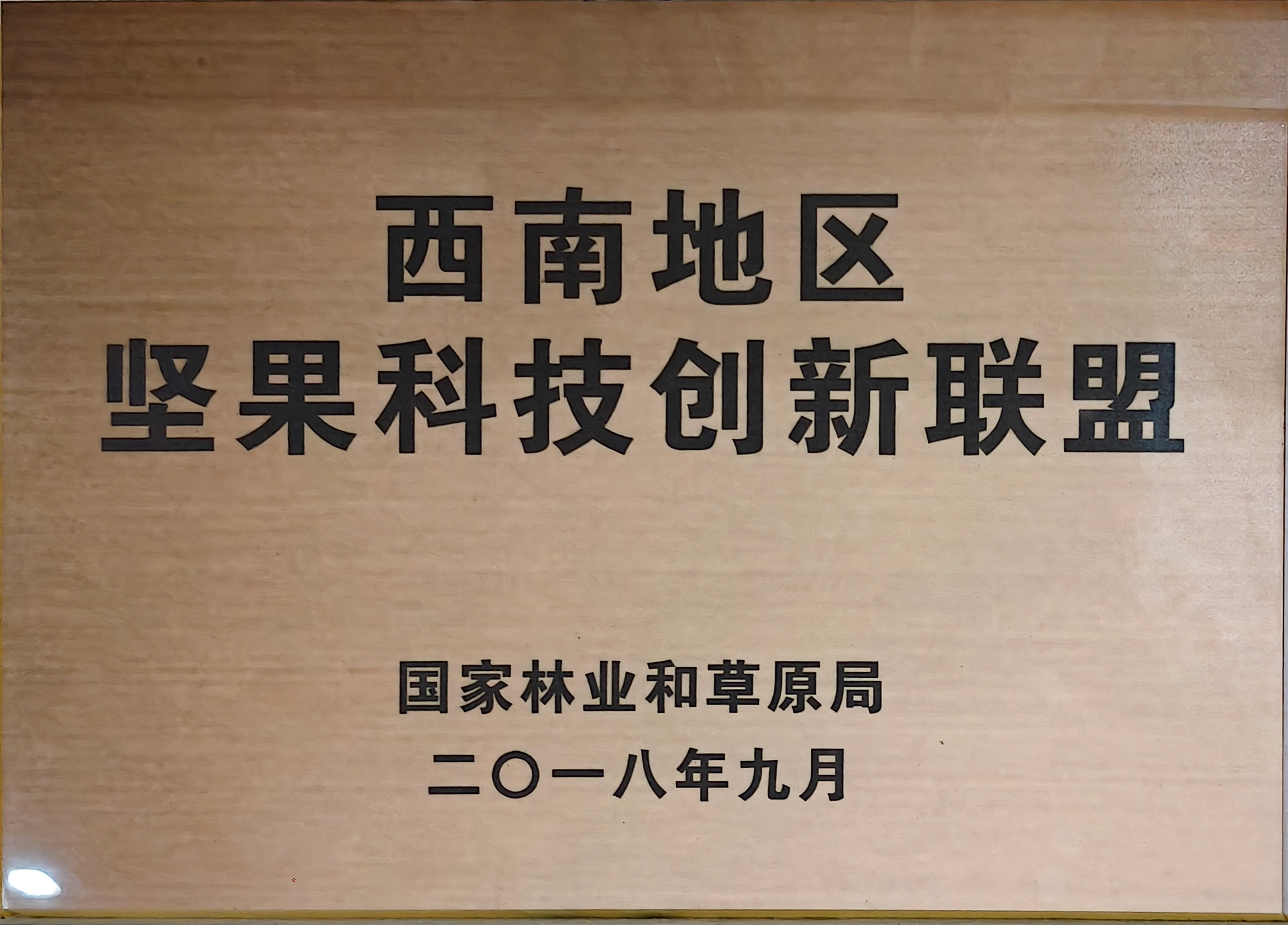 西南地区坚果科技创新联盟