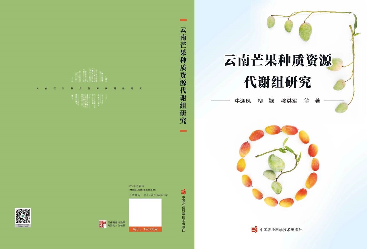 专著