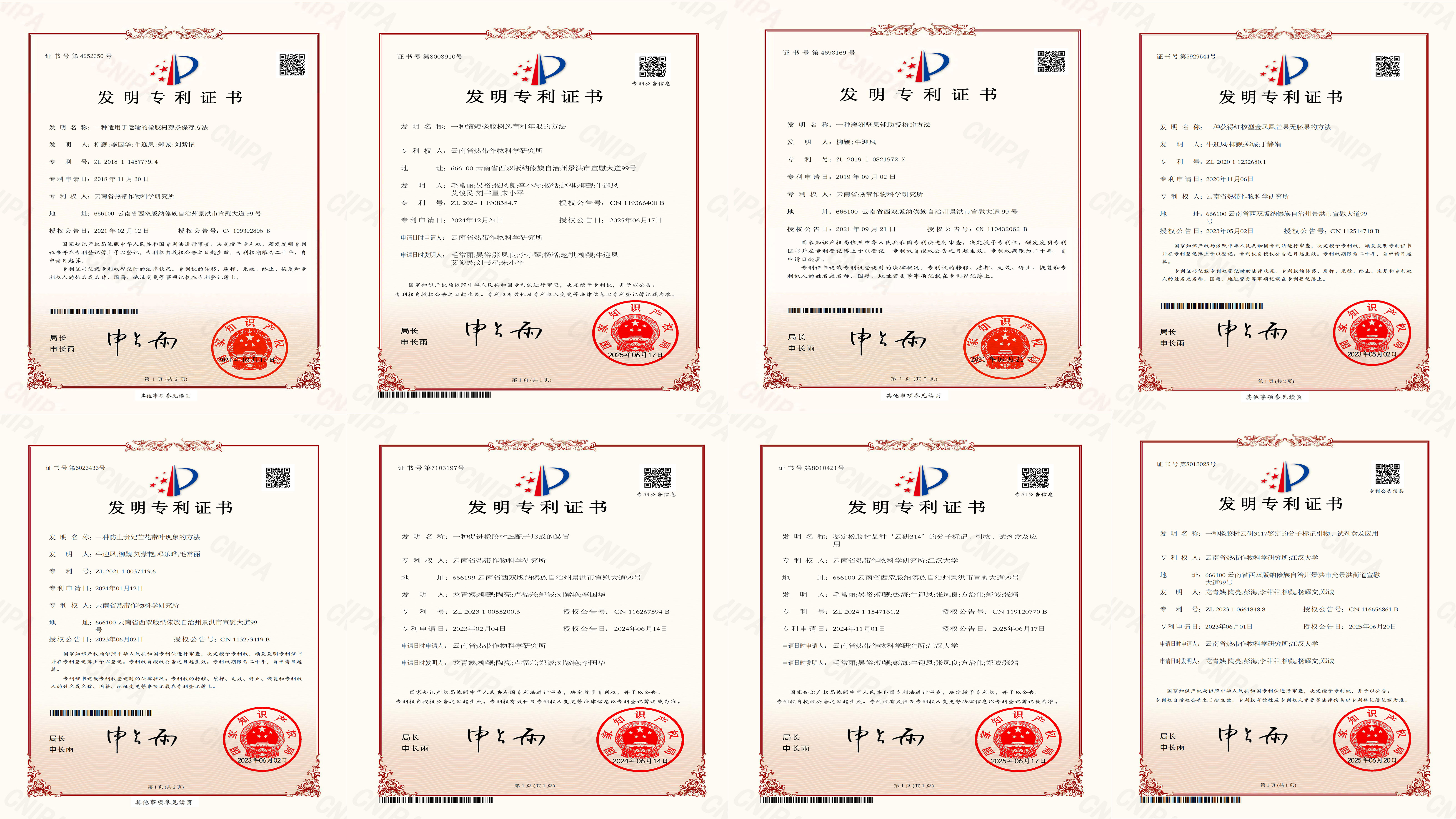 专利