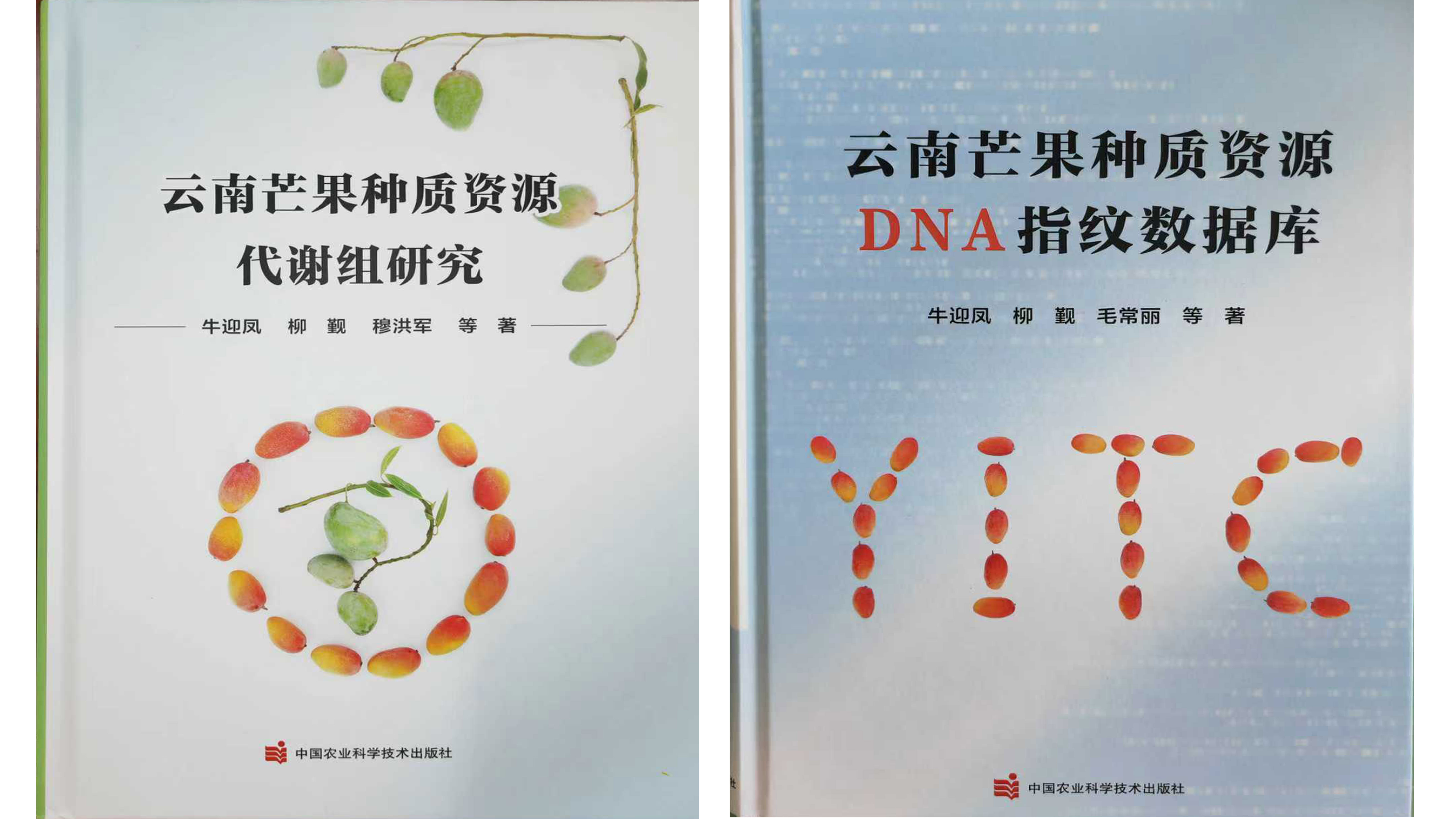 专著