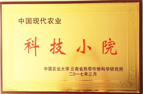 科技小院 拷贝
