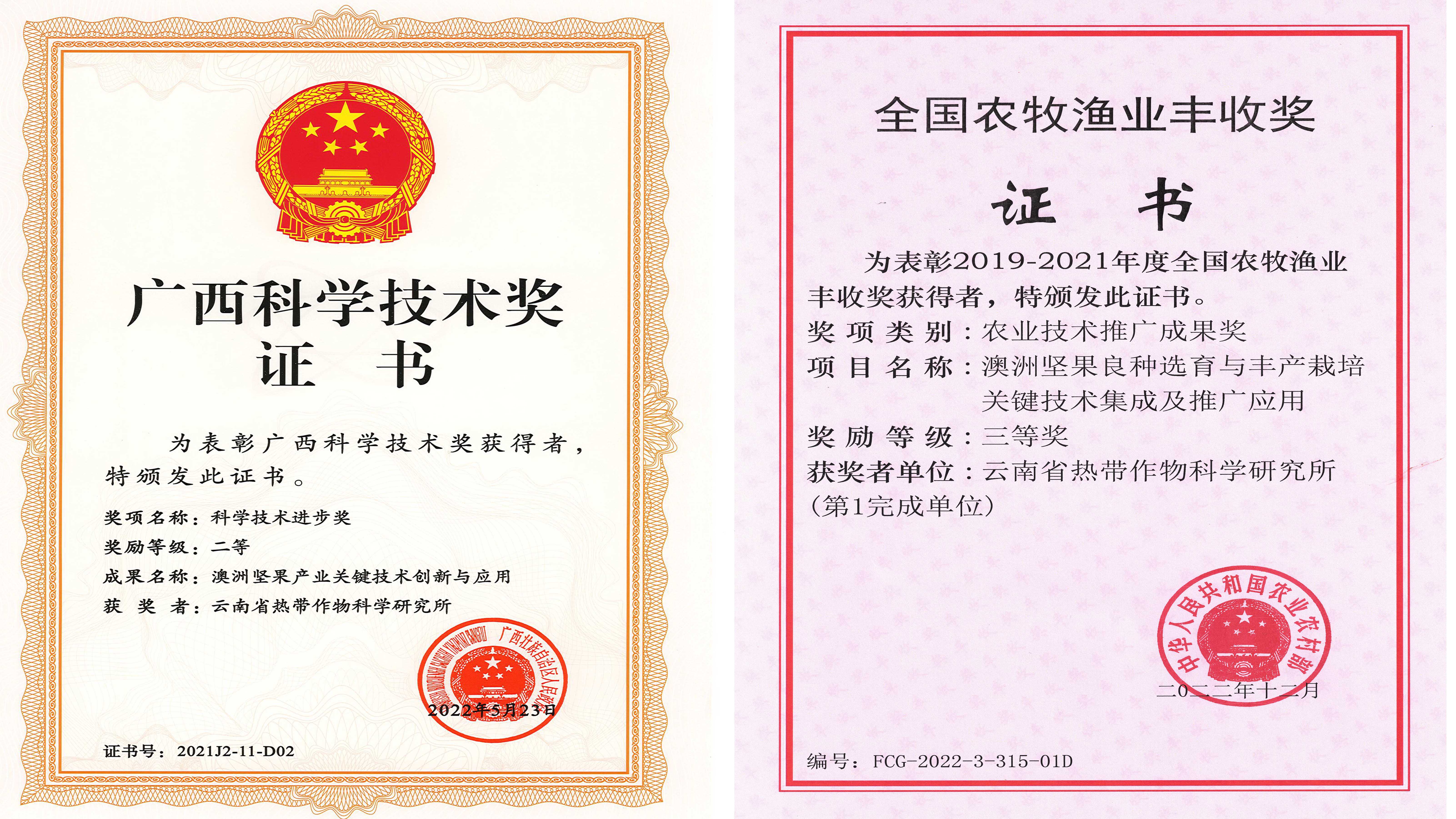 获奖