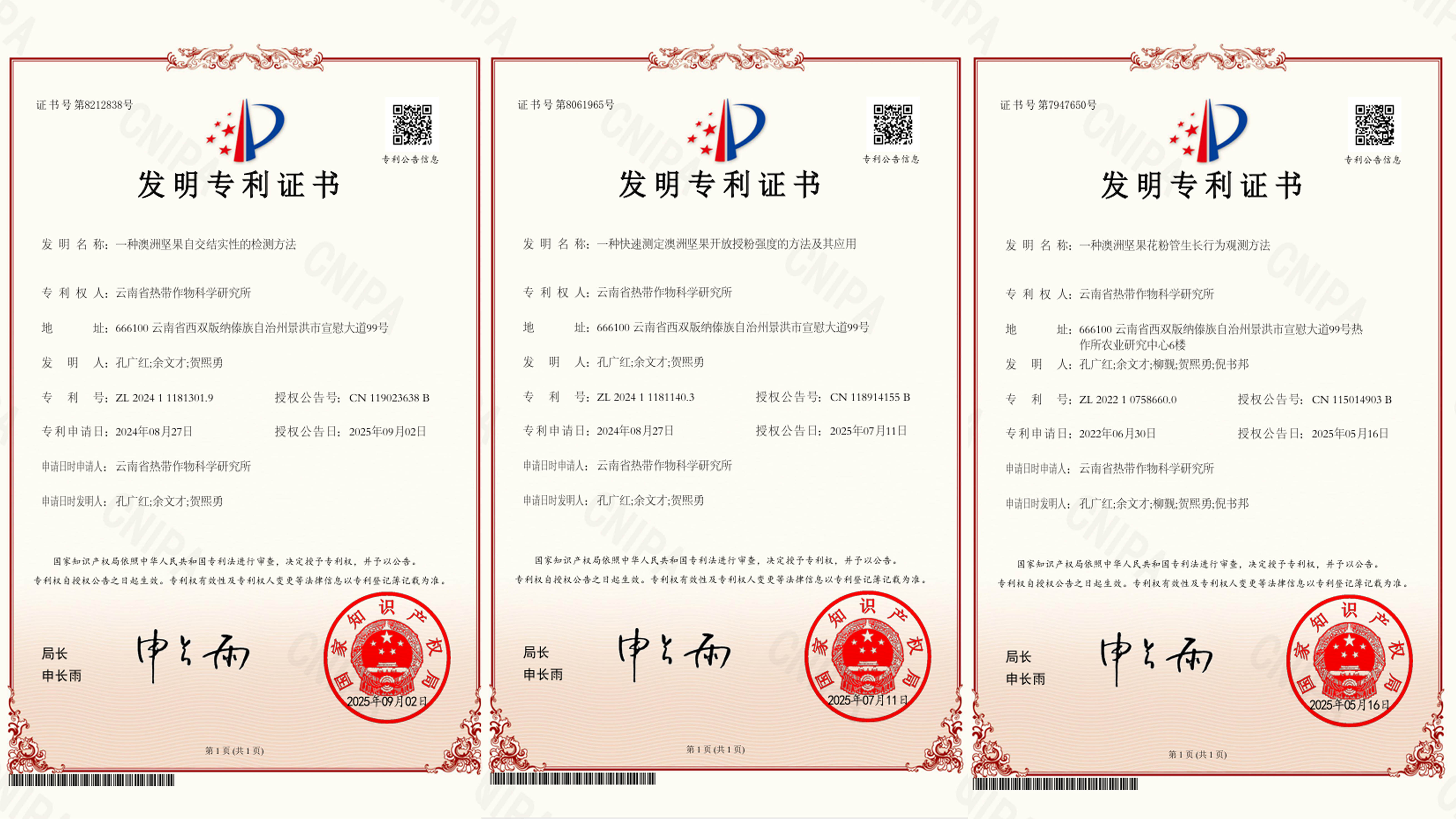 专利