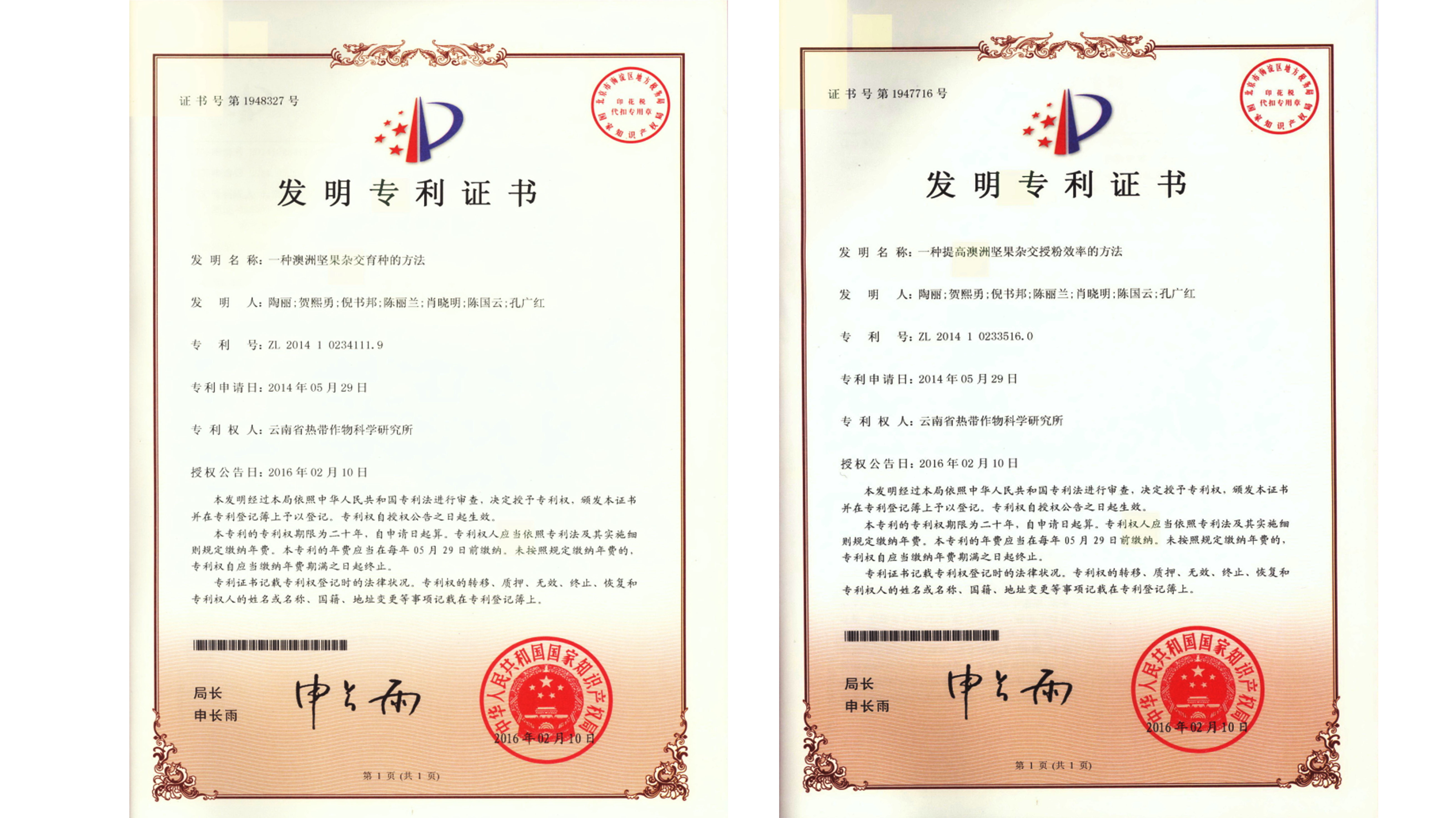 专利