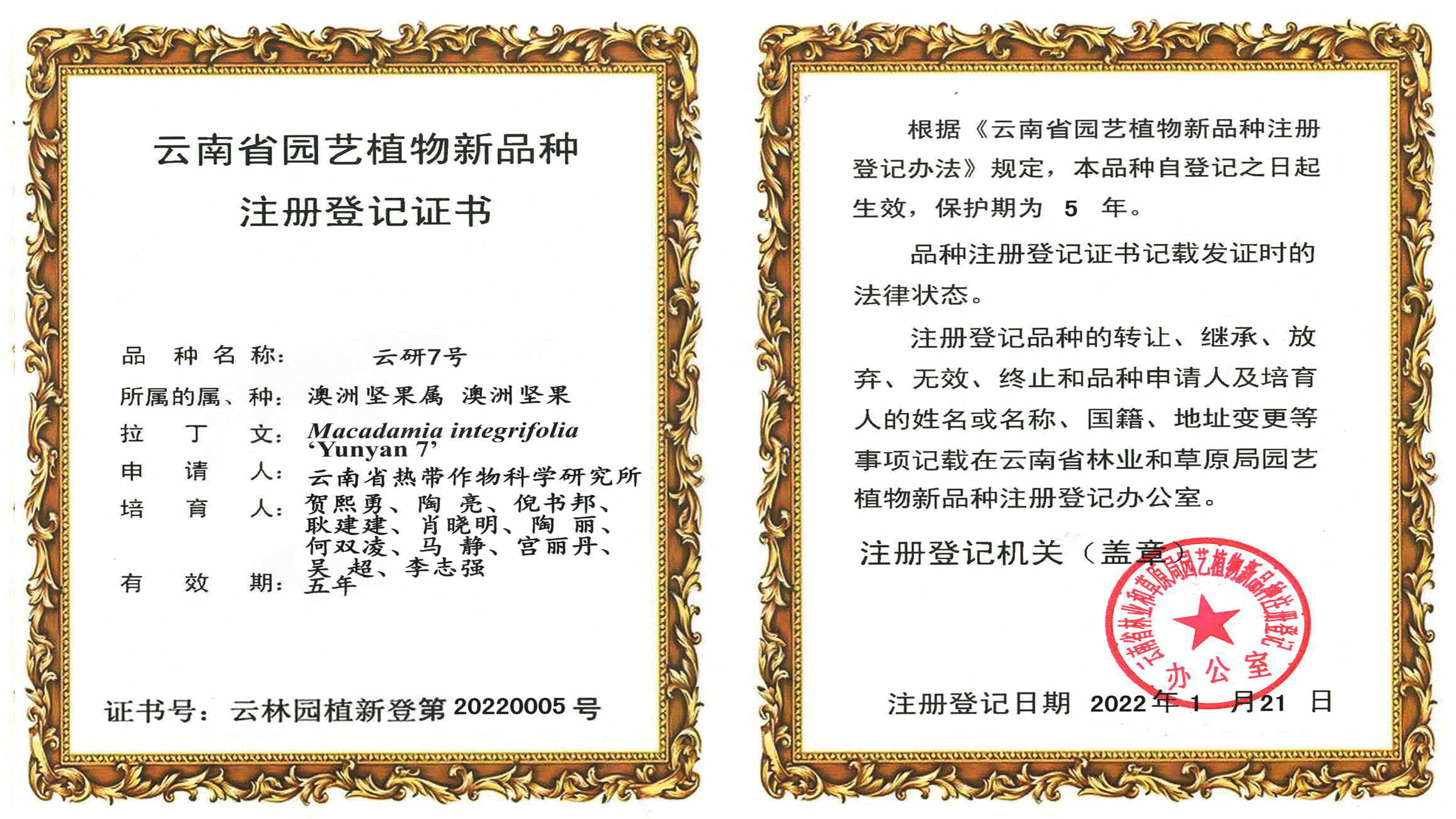 品种