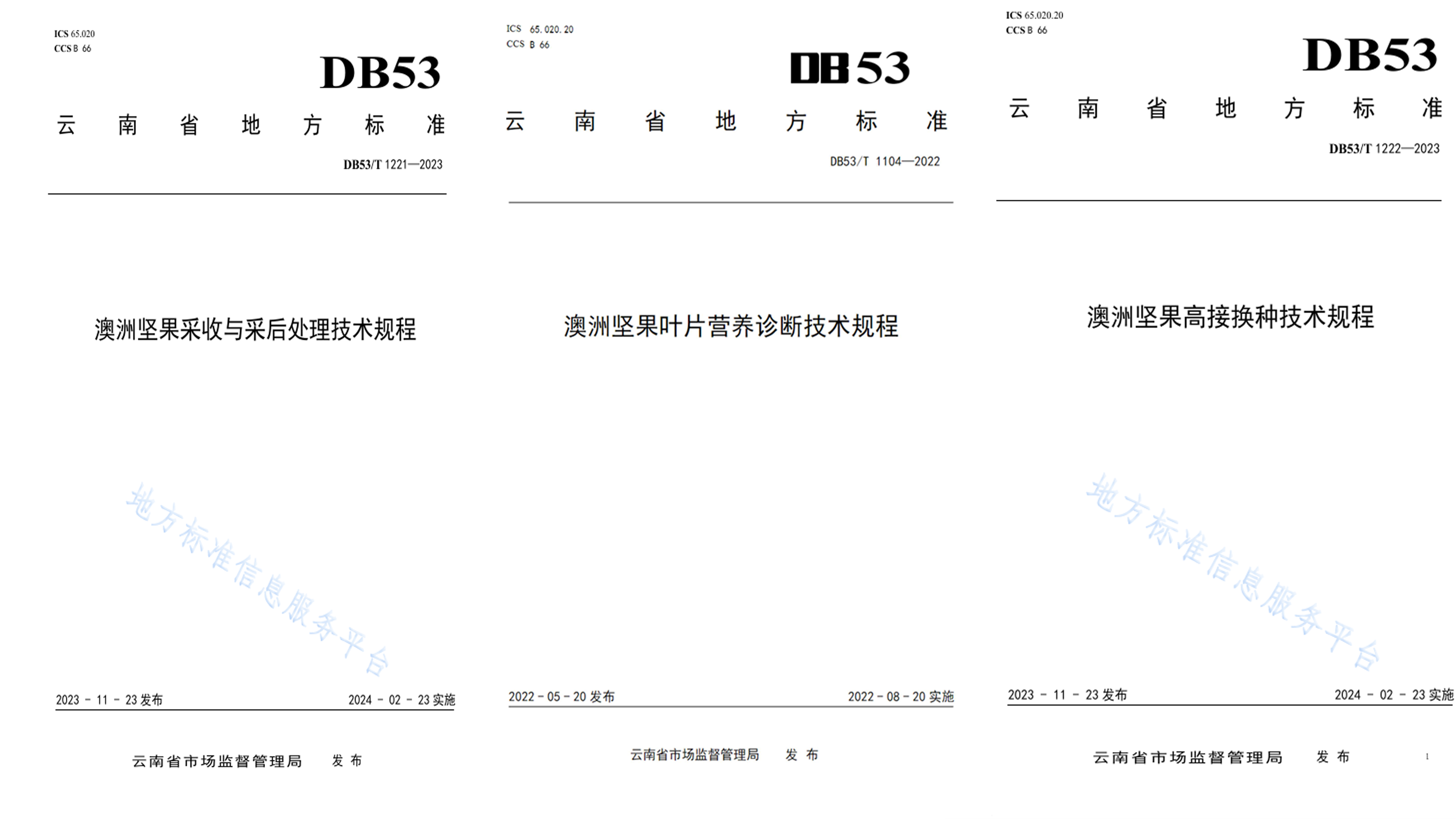 标准