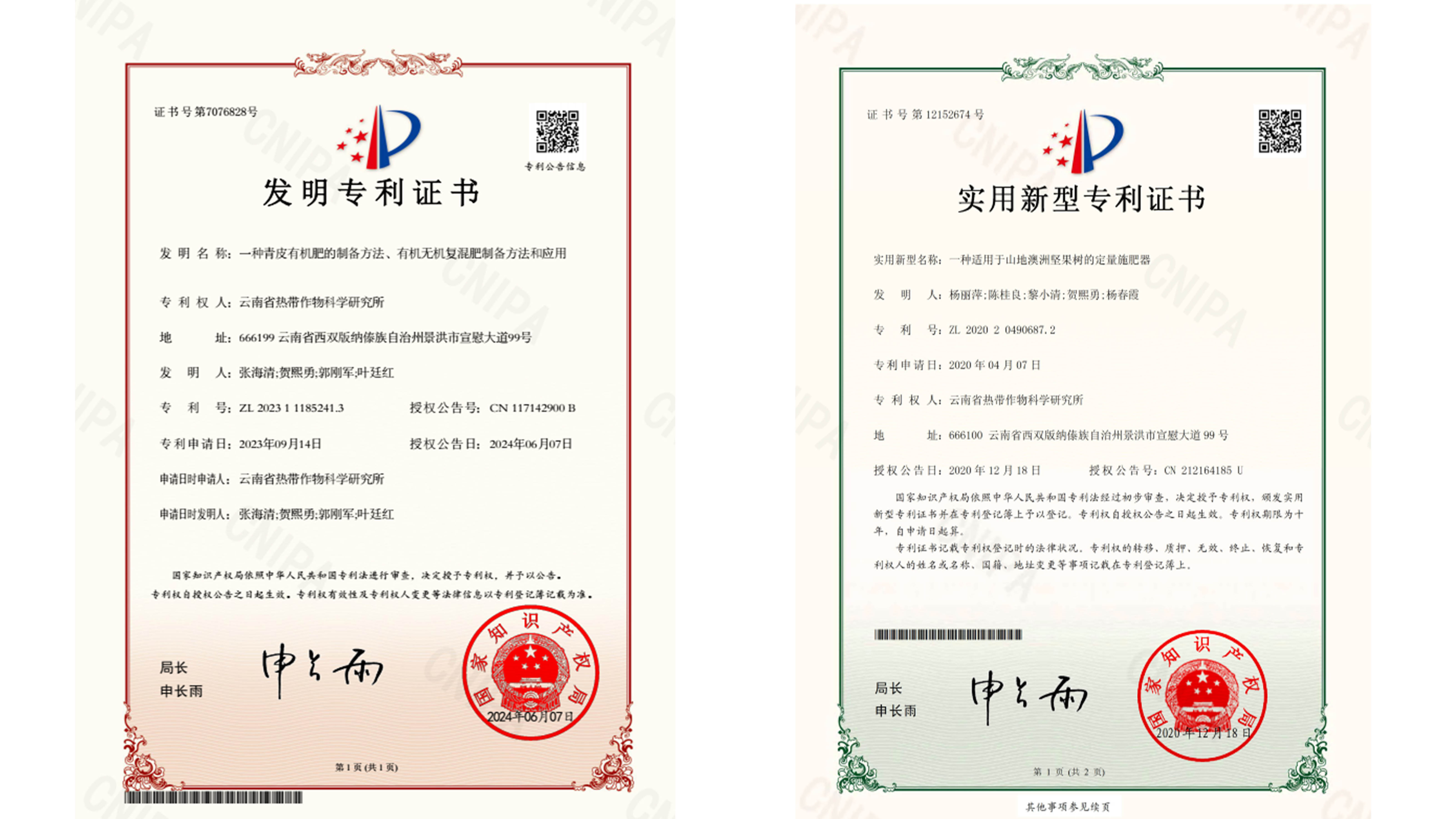 专利