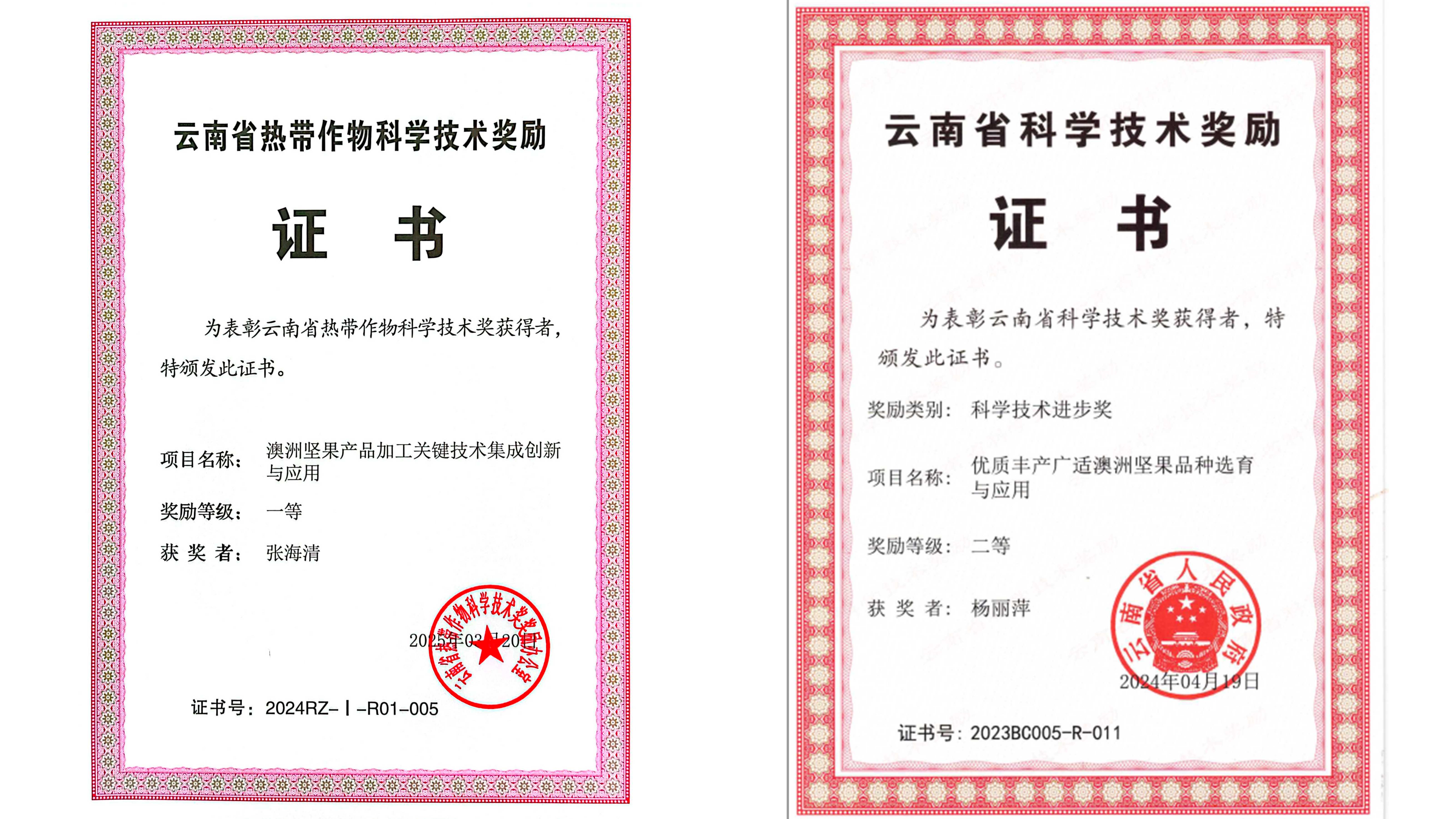 获奖