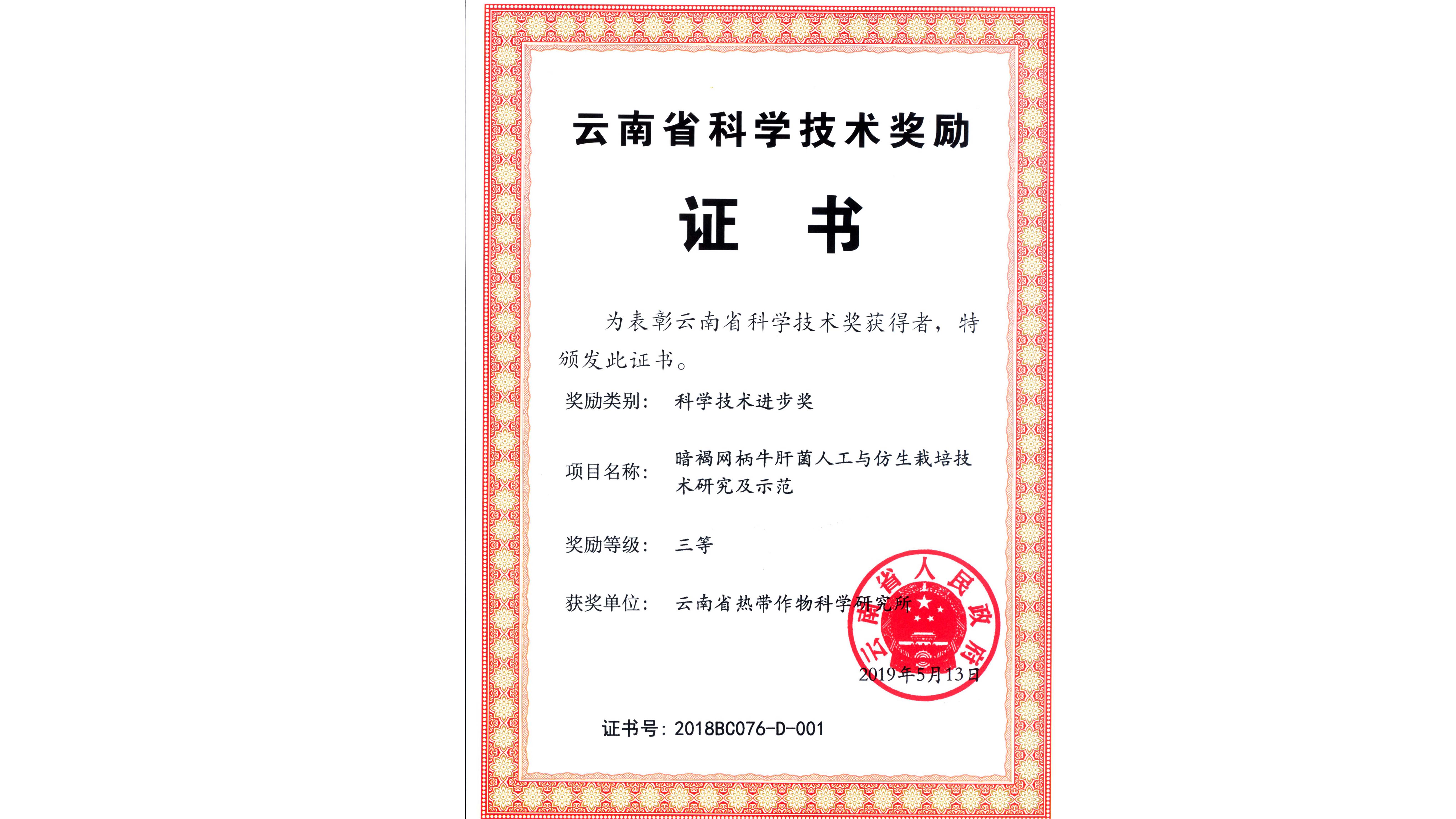 获奖