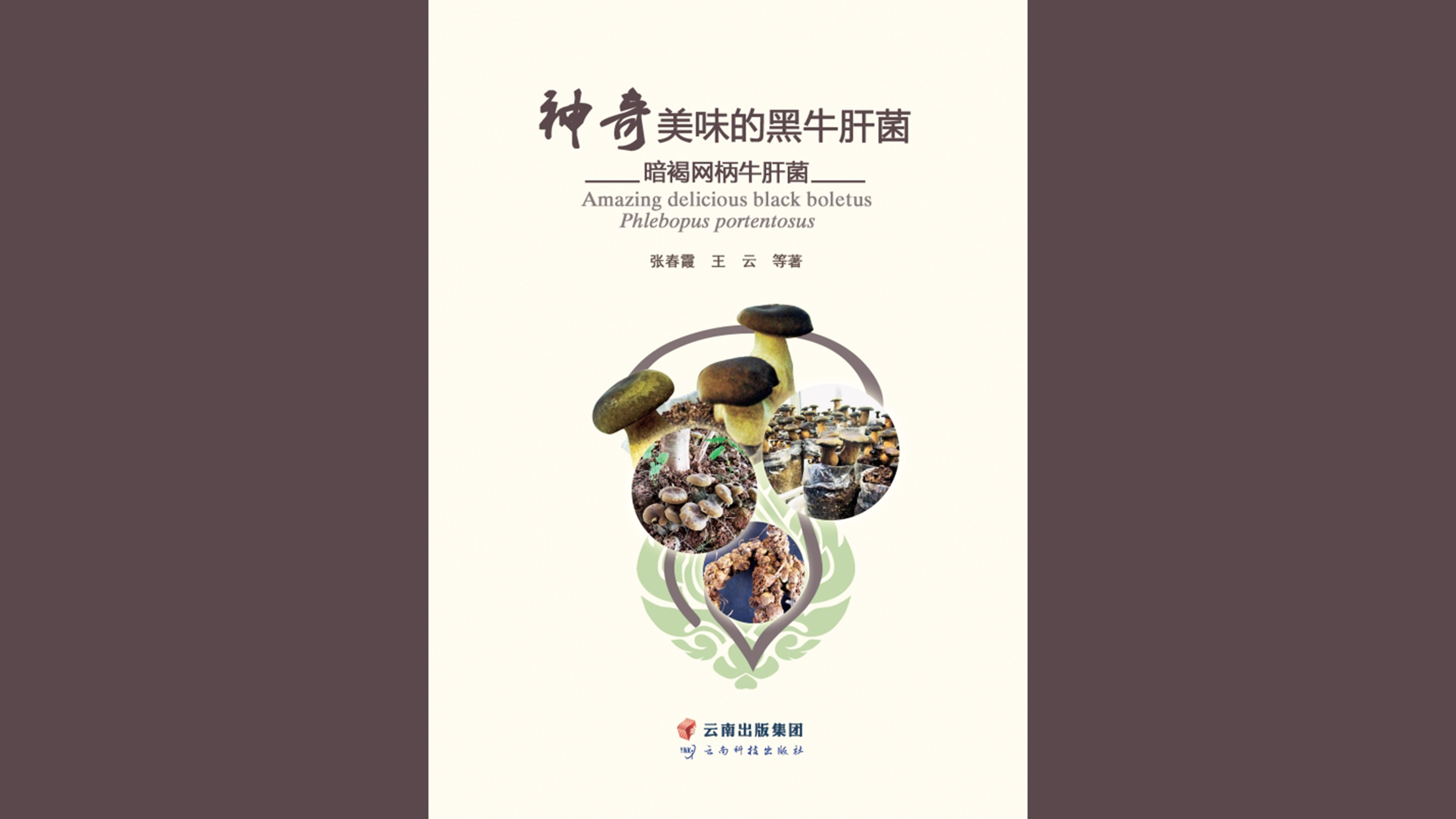 专著