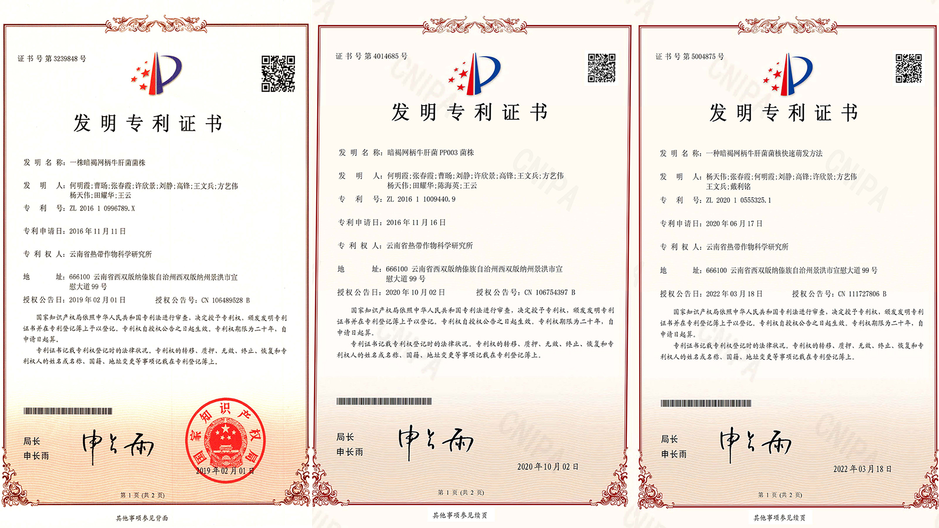 发明专利