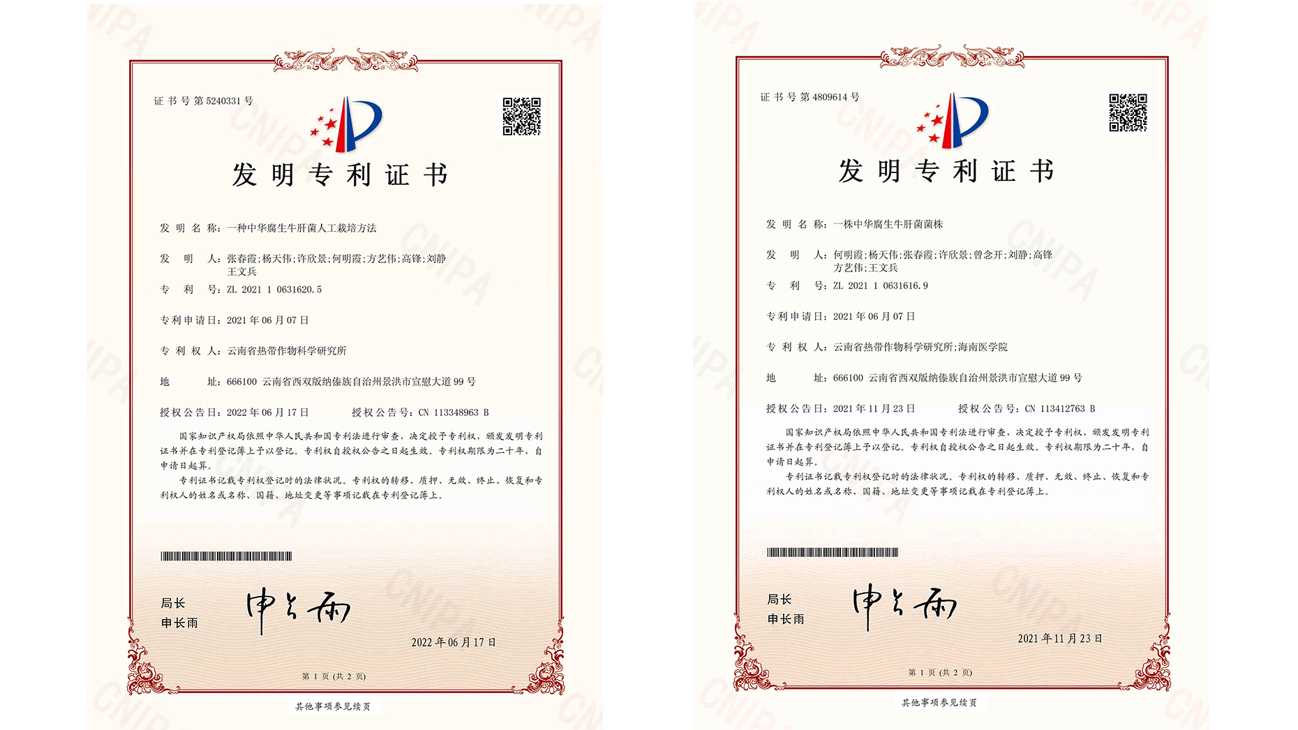发明专利