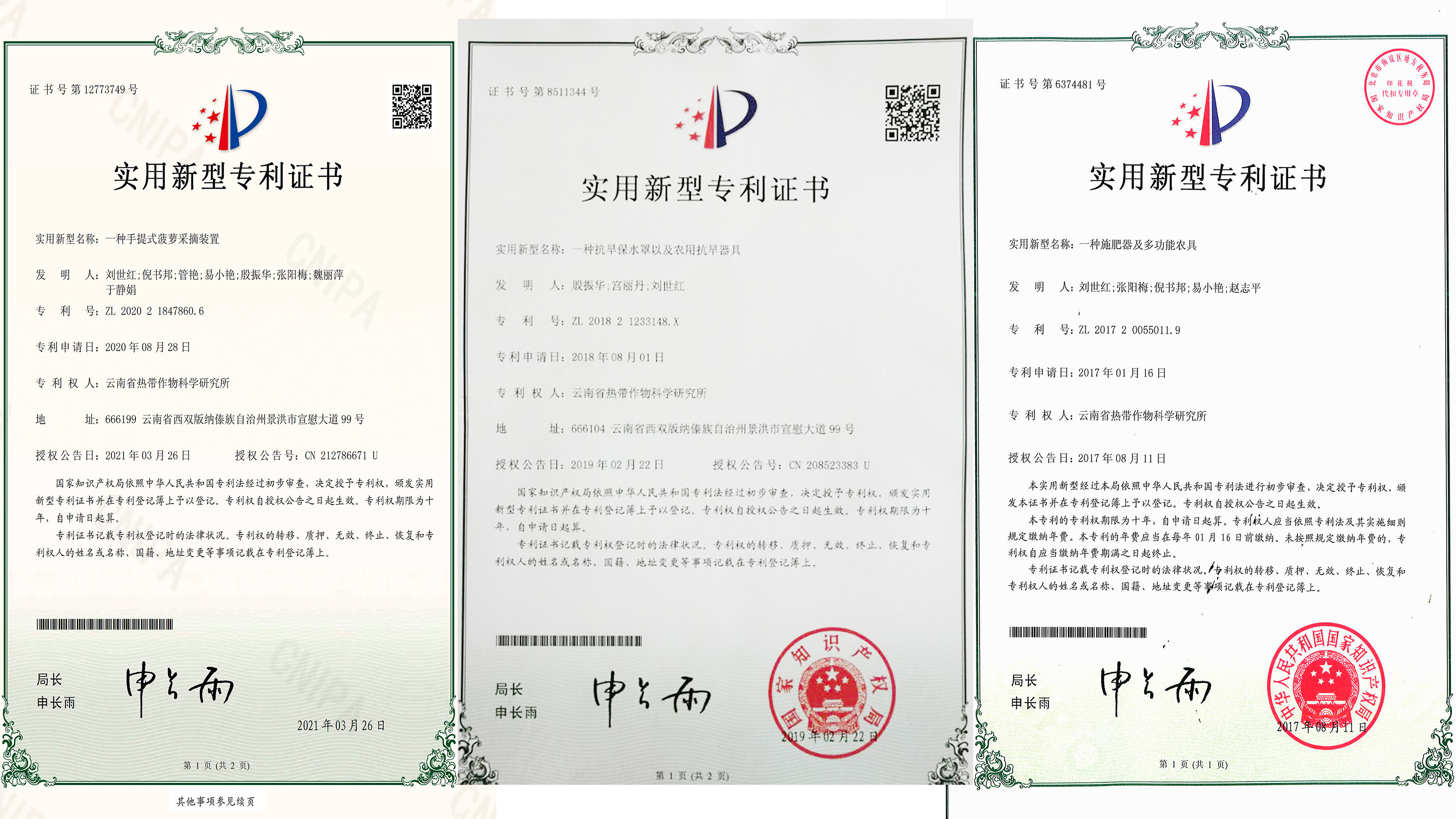 专利