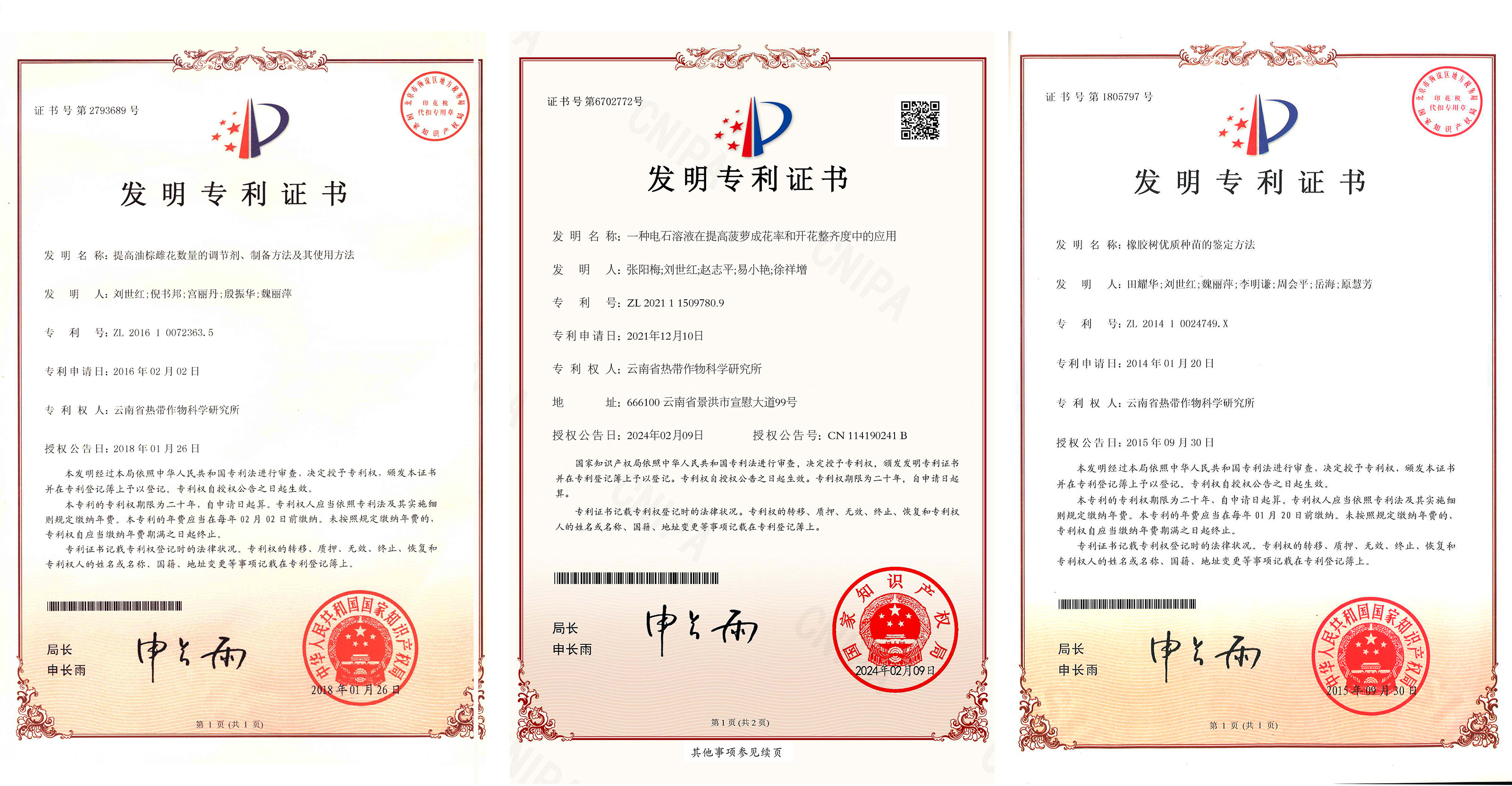 专利