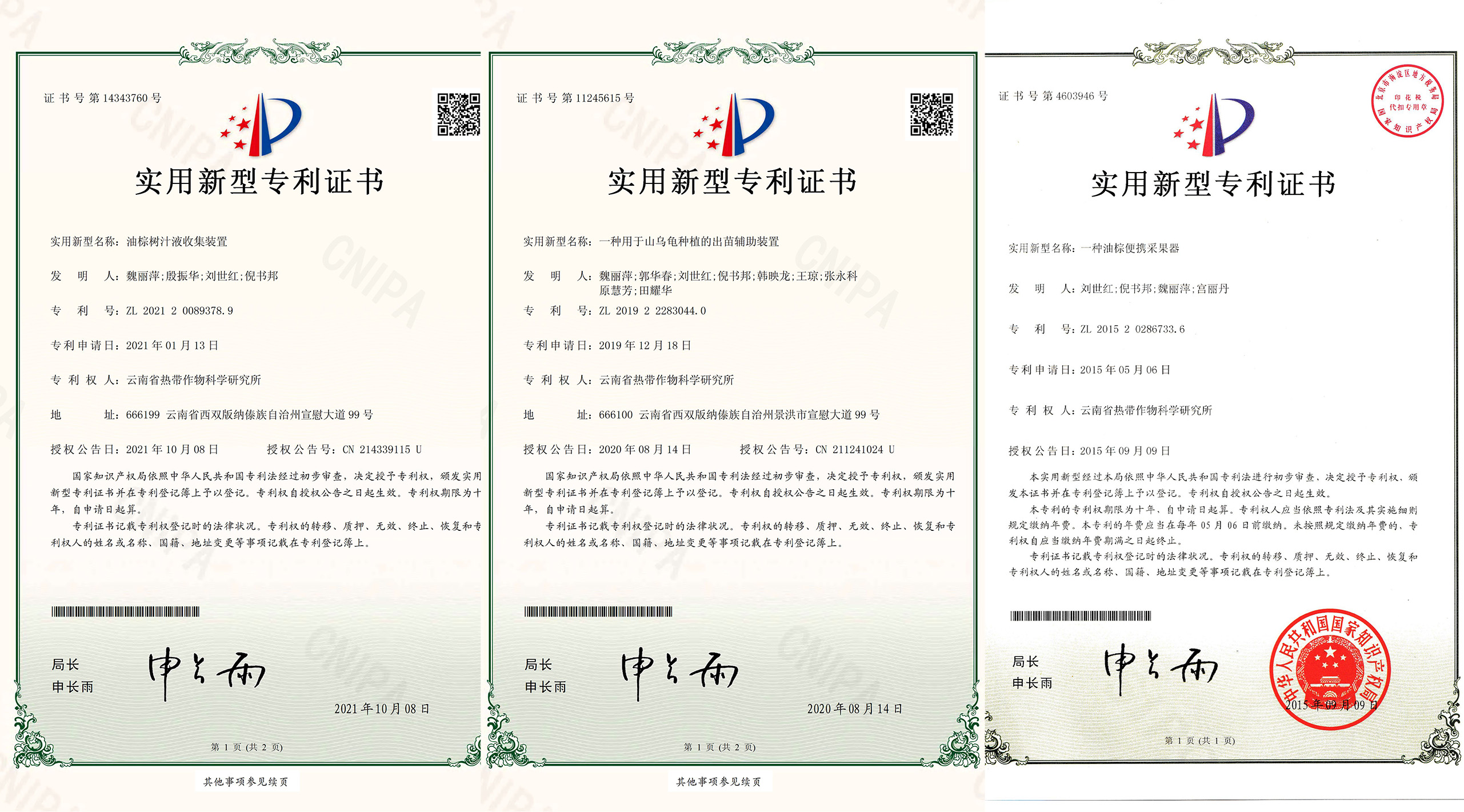 专利