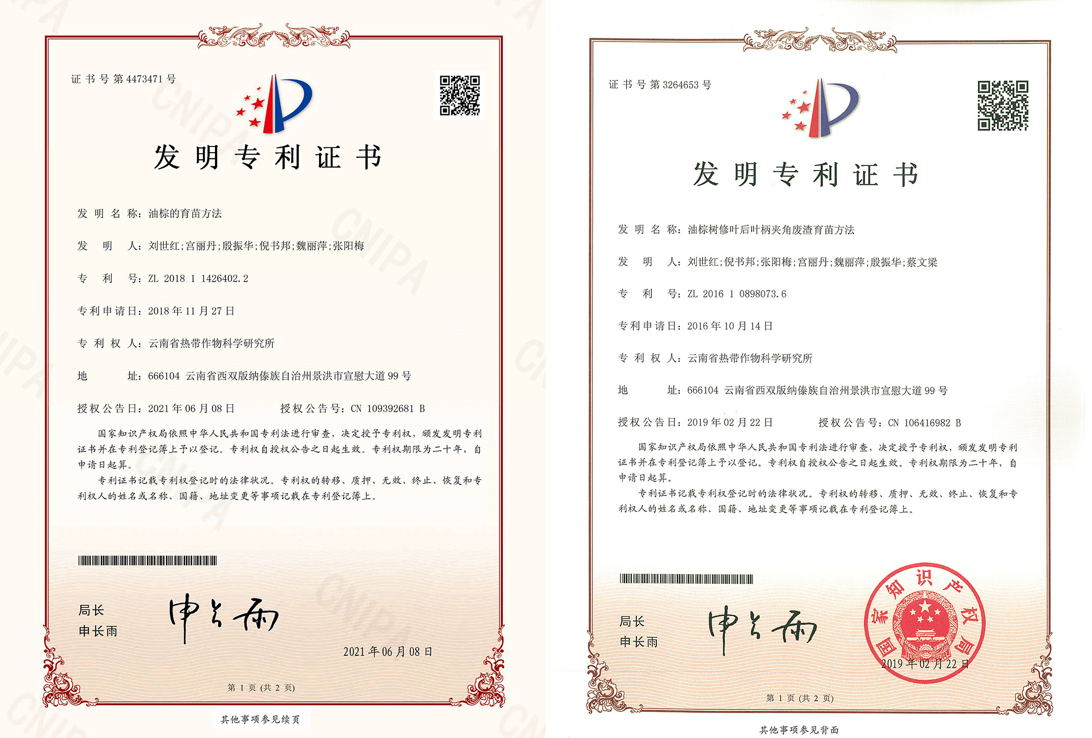 专利
