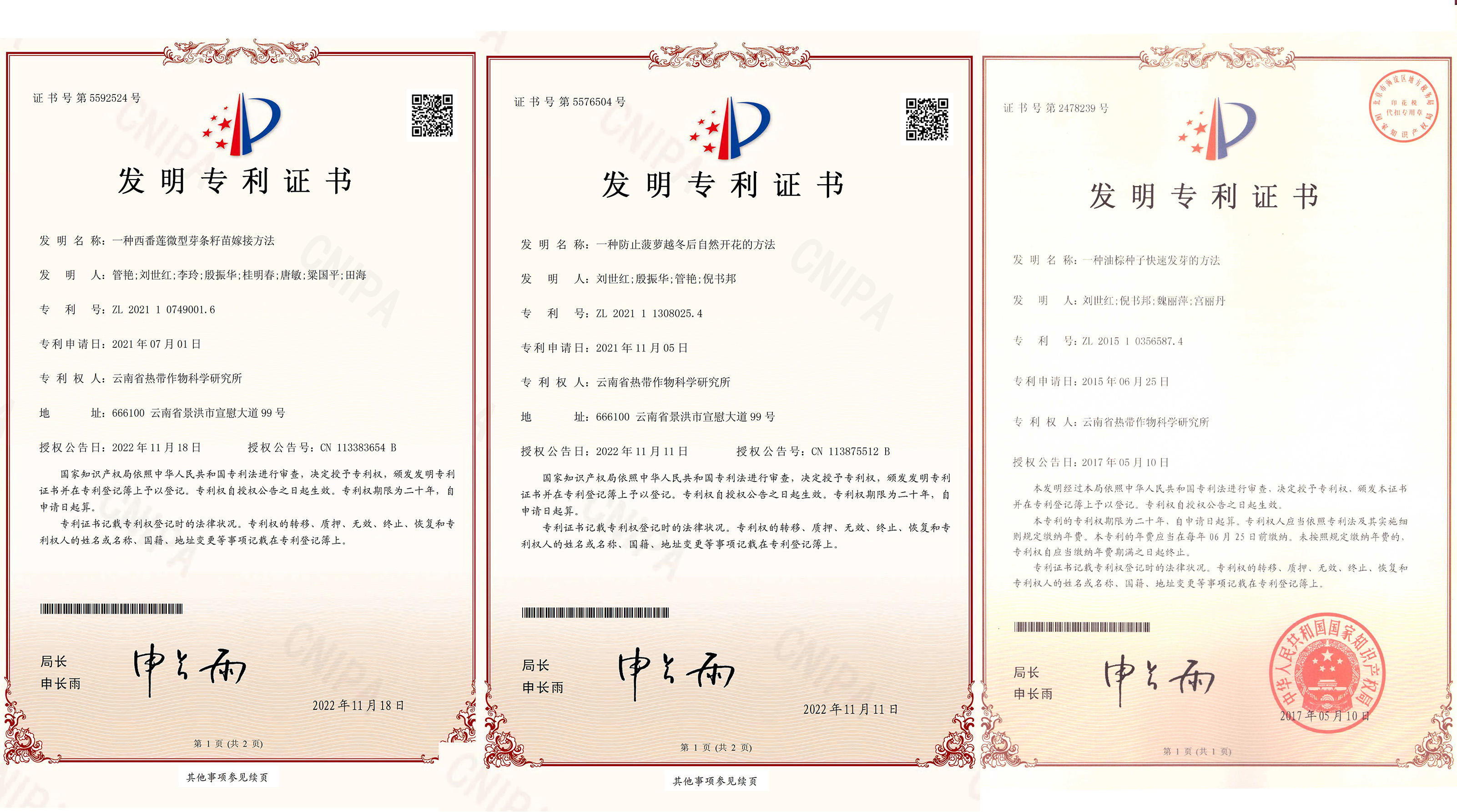 专利