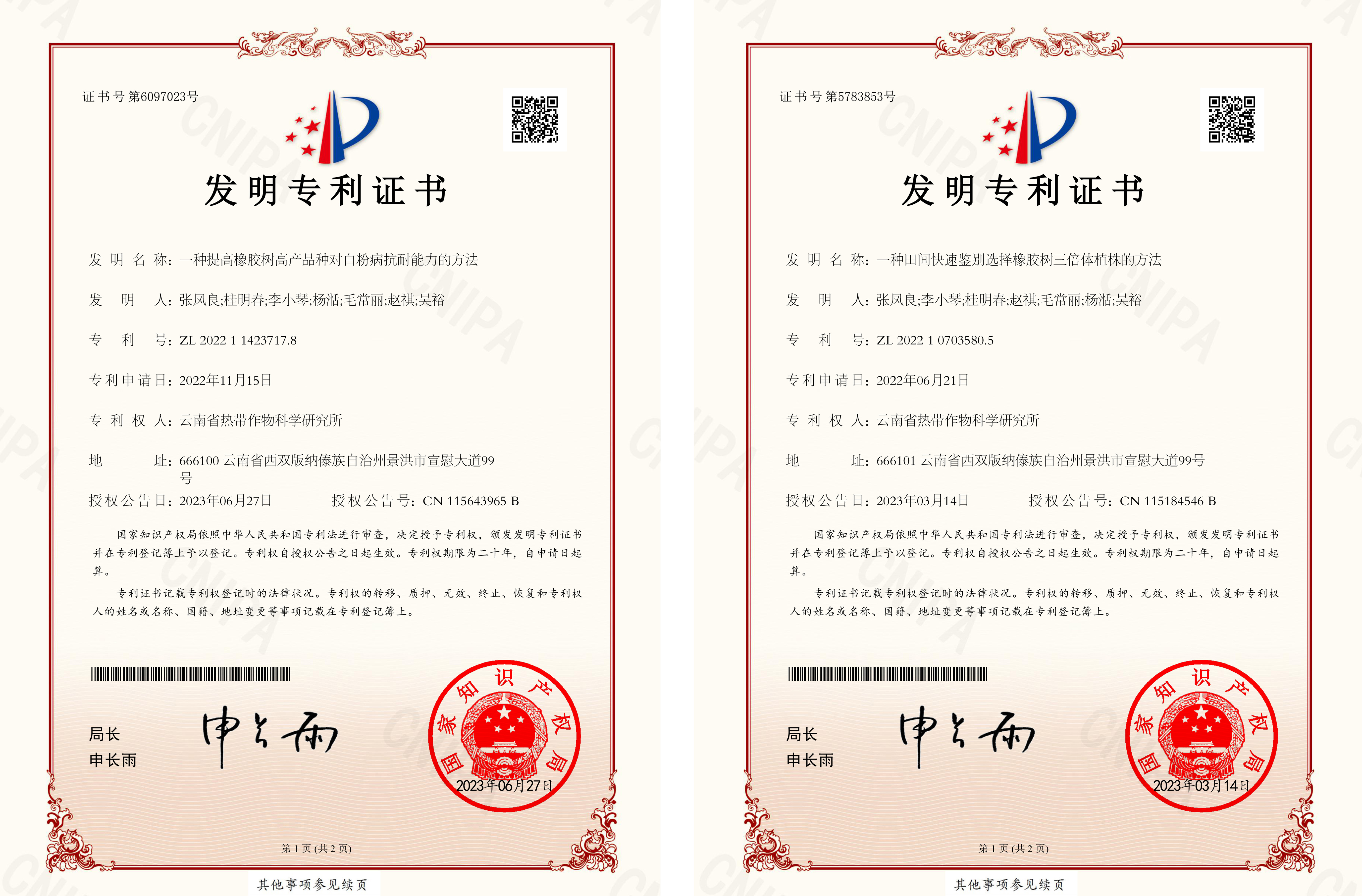 专利