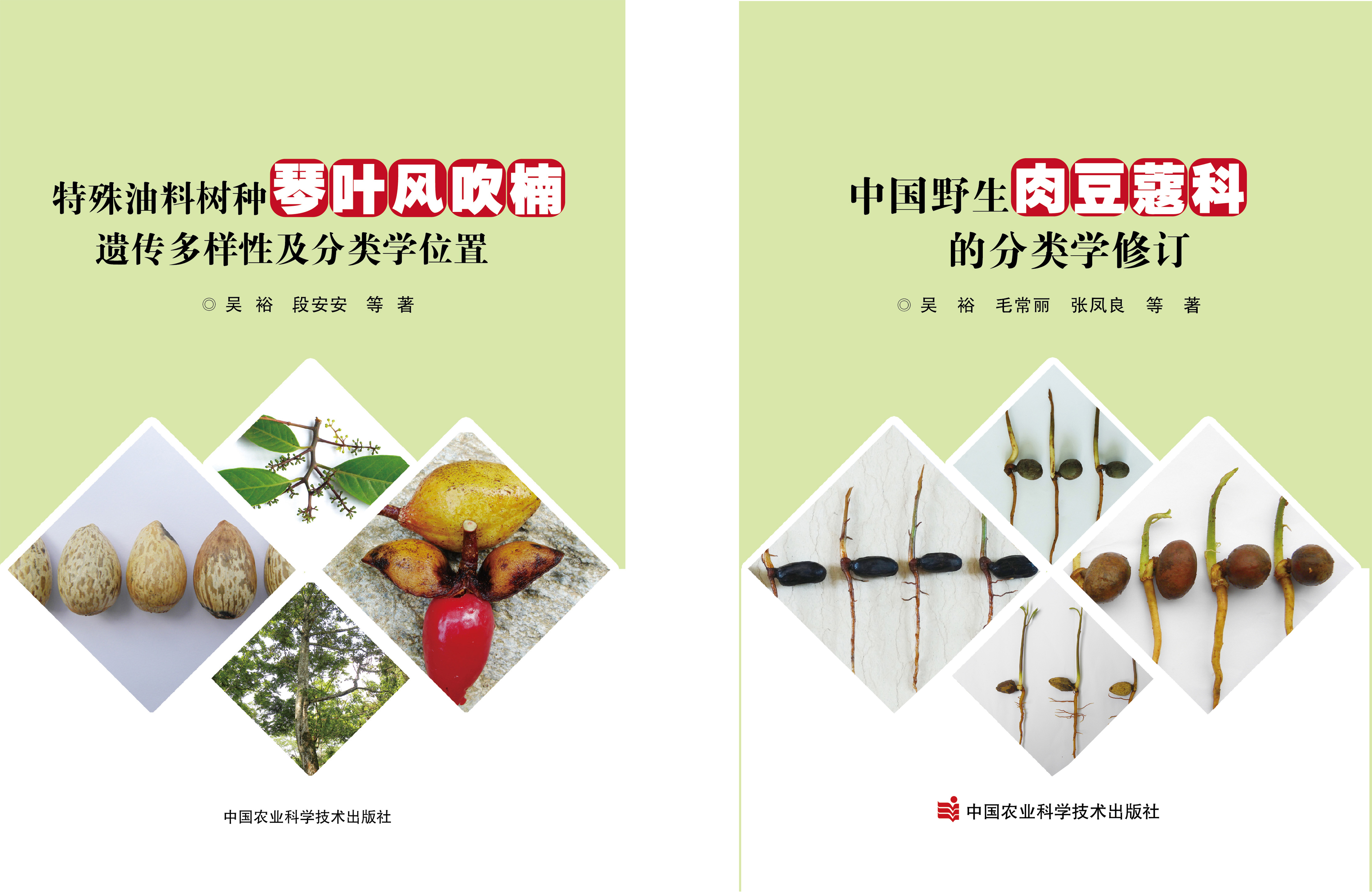 专著