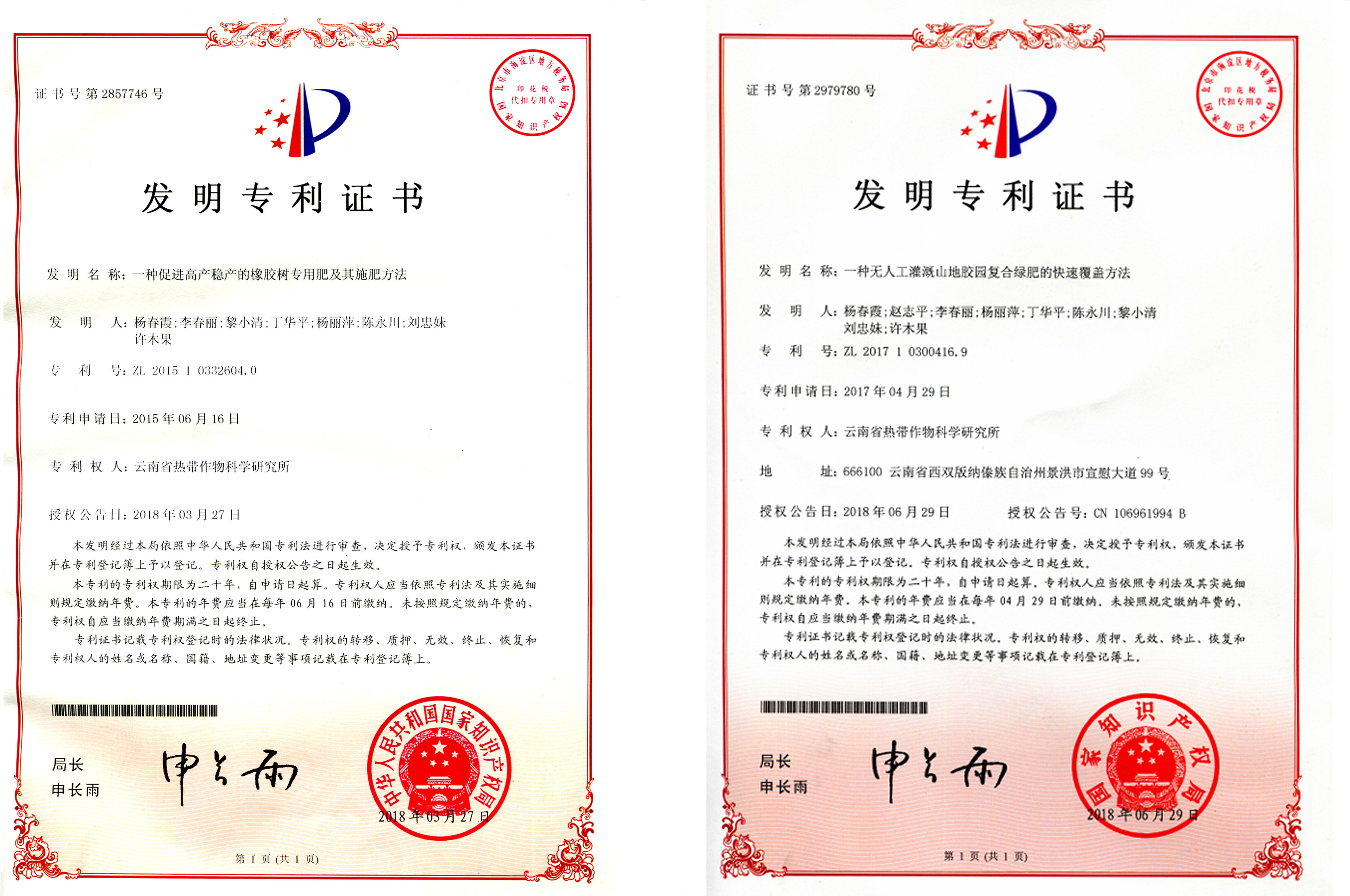 专利