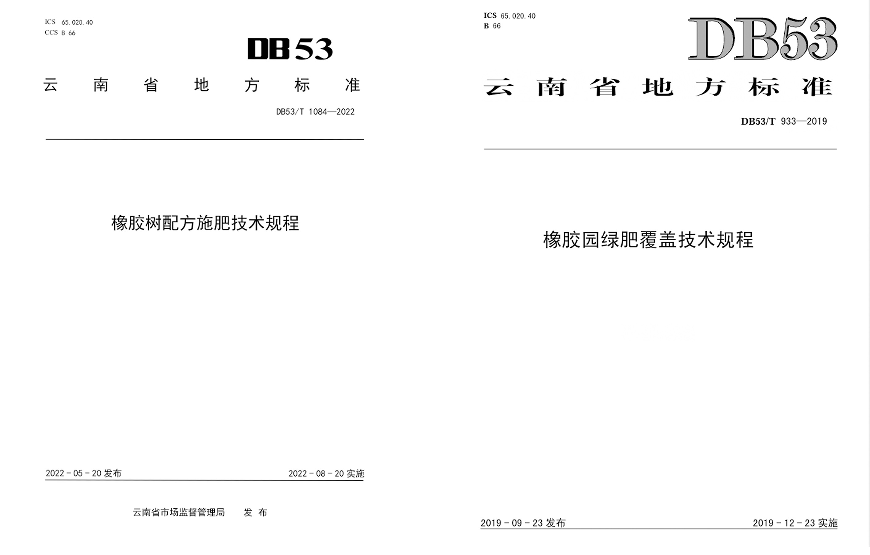 标准