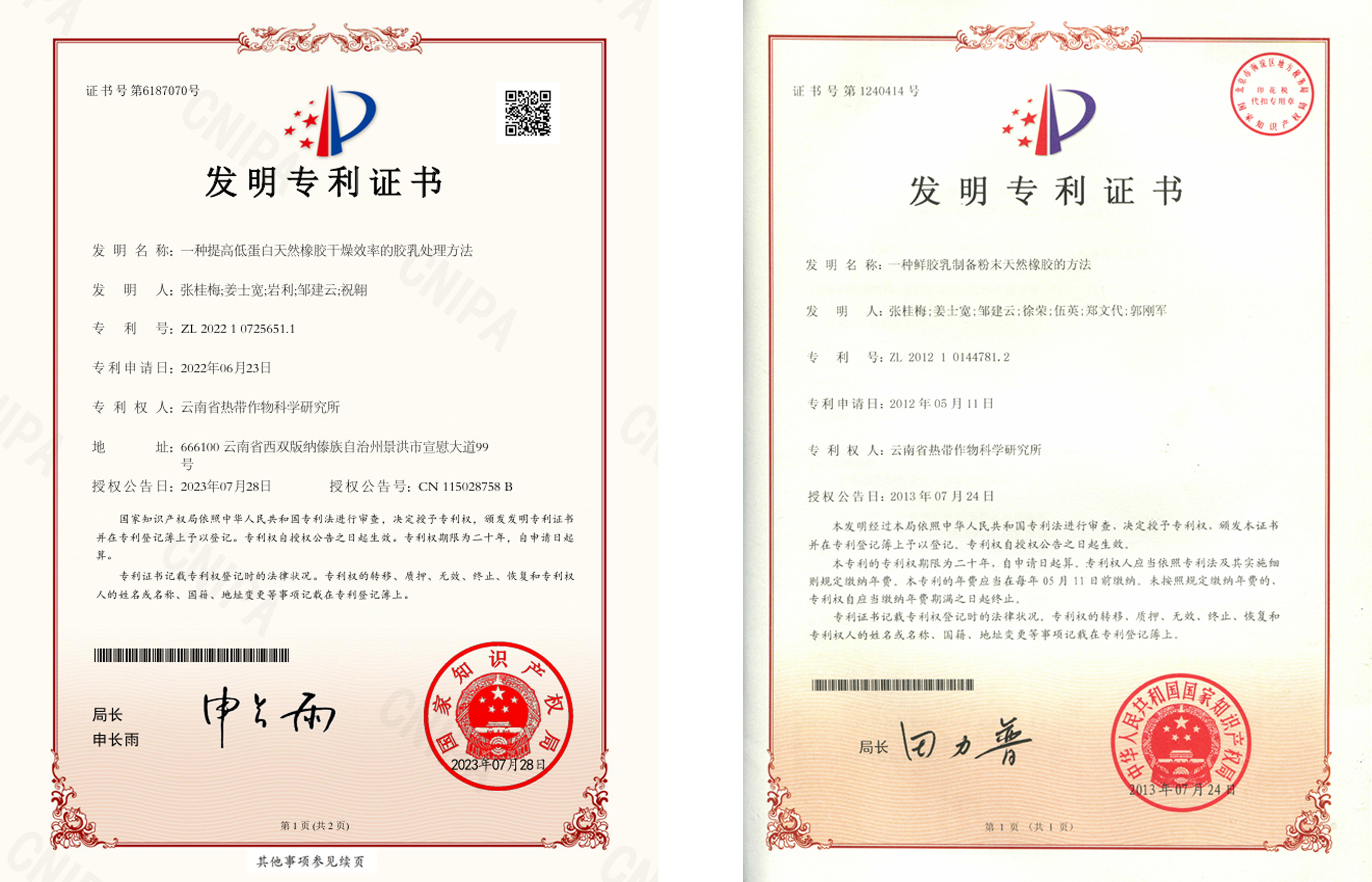 专利
