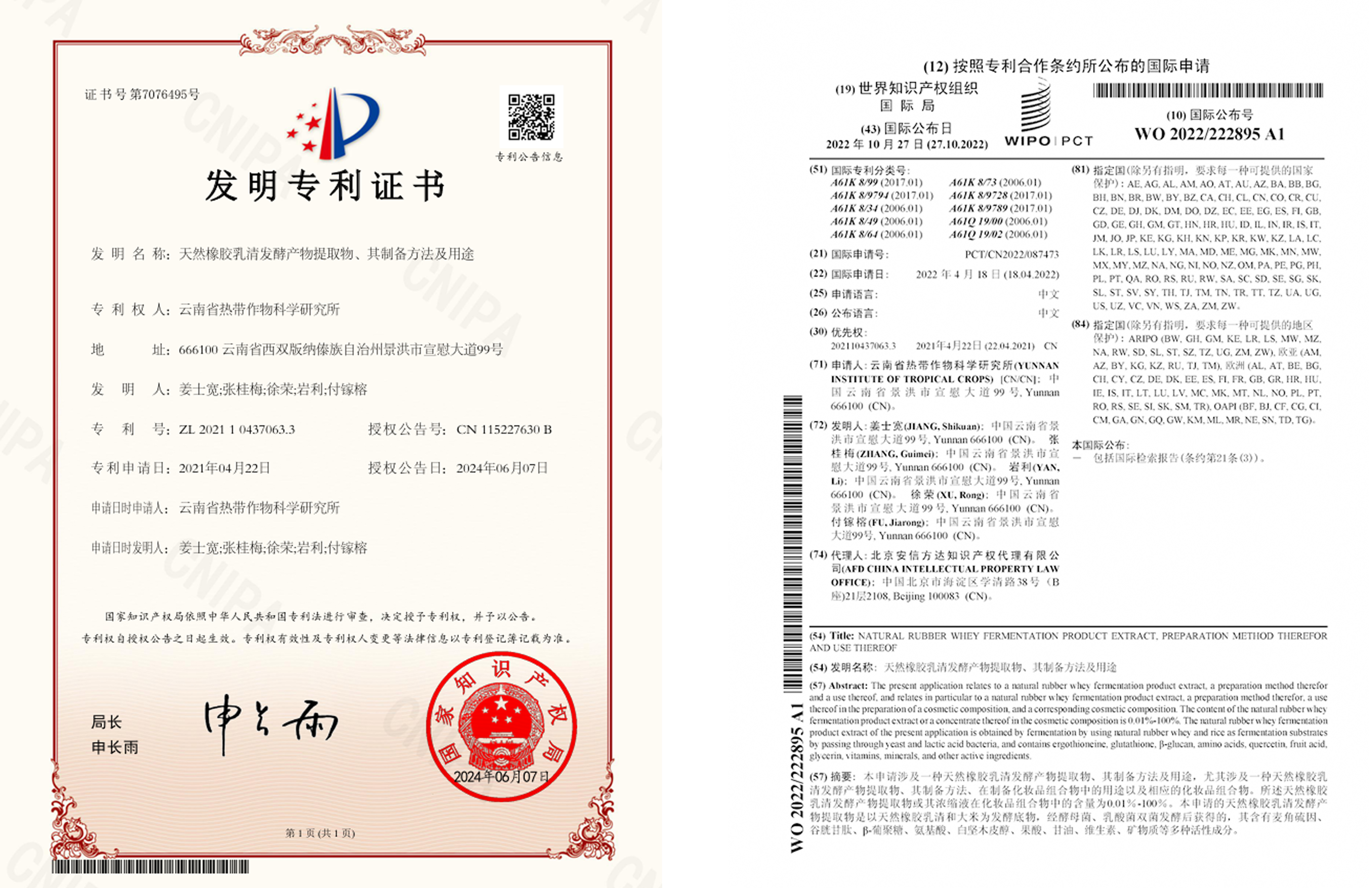 专利
