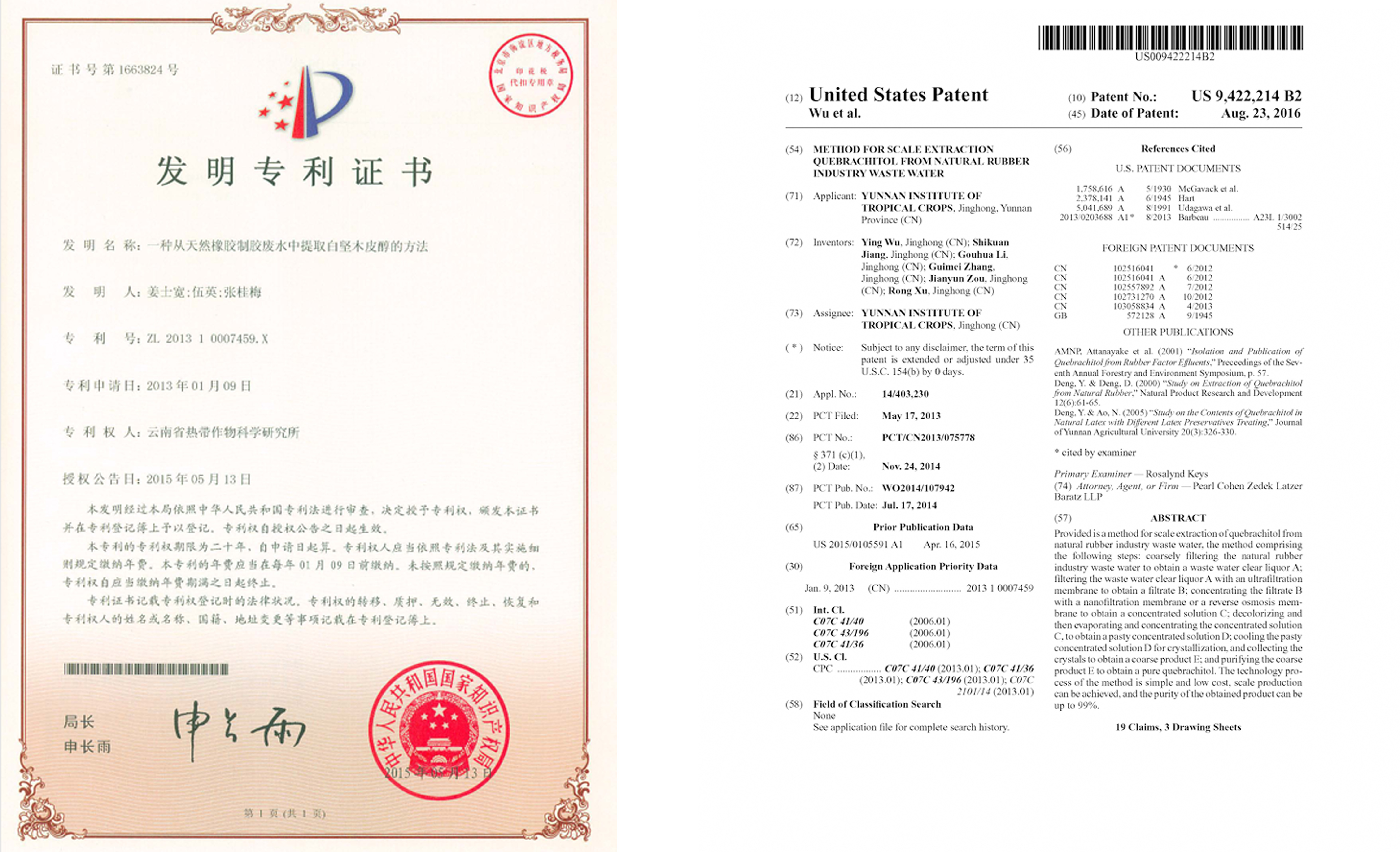 专利