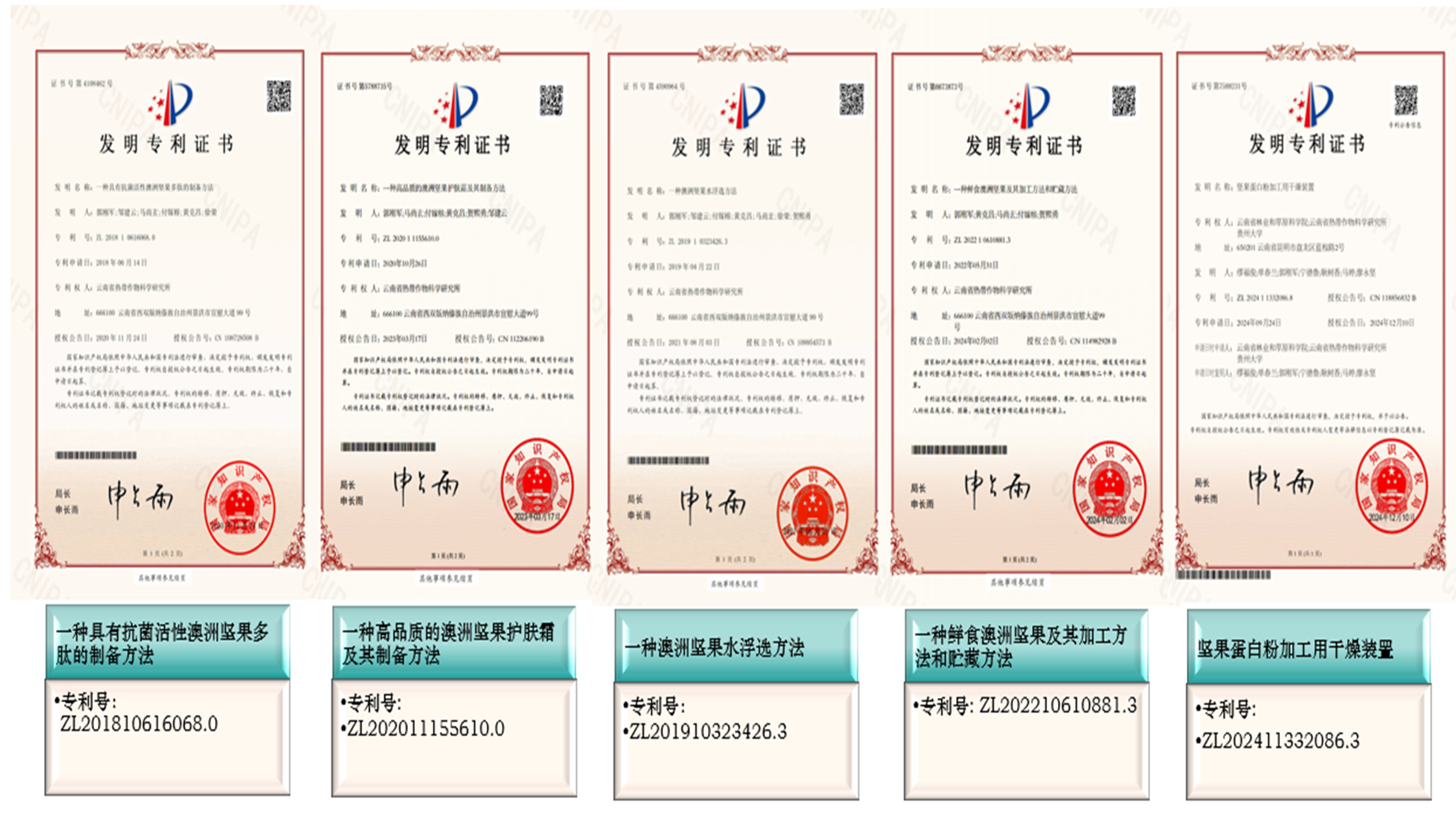 专利
