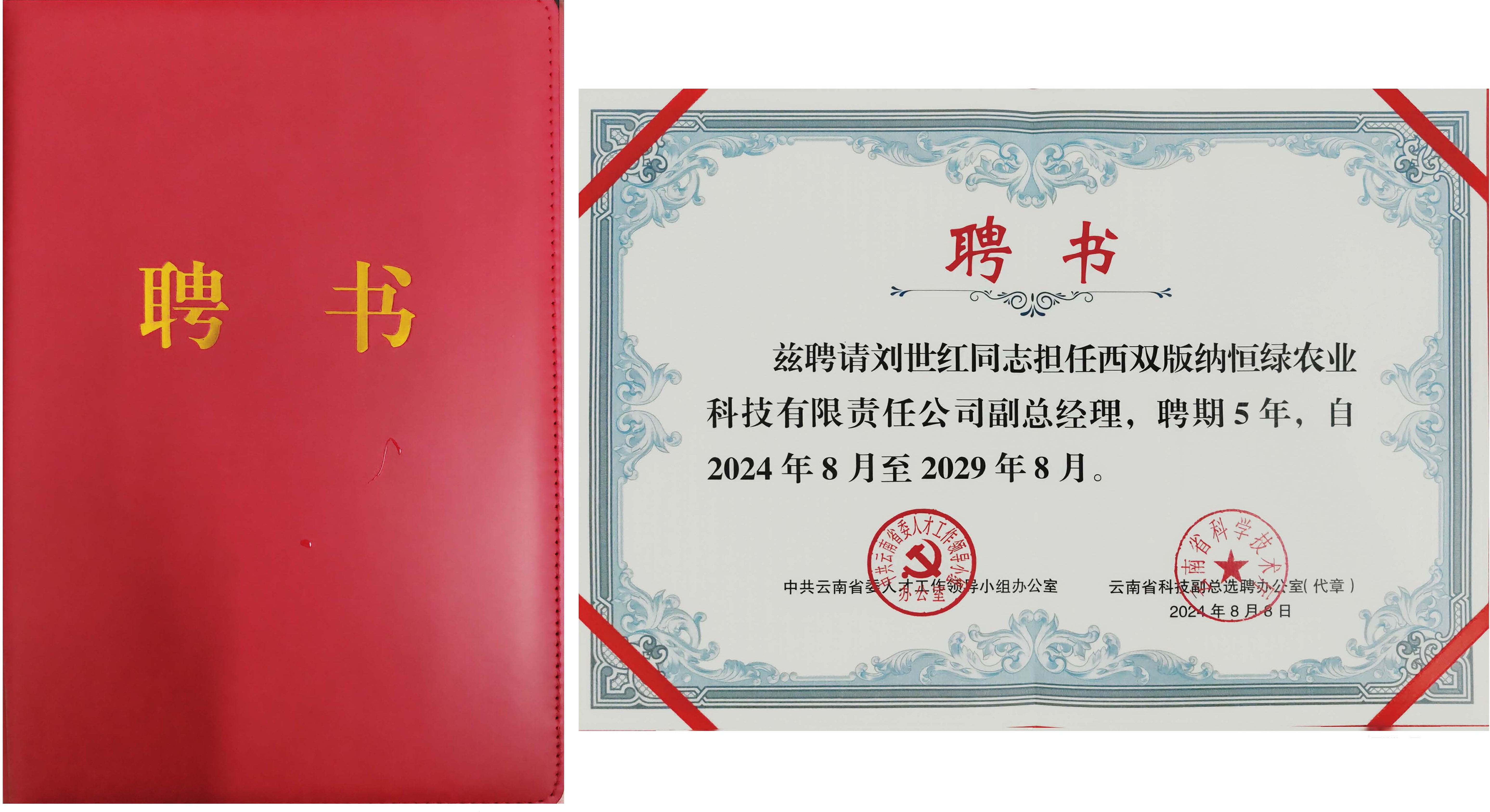 科技副总聘书