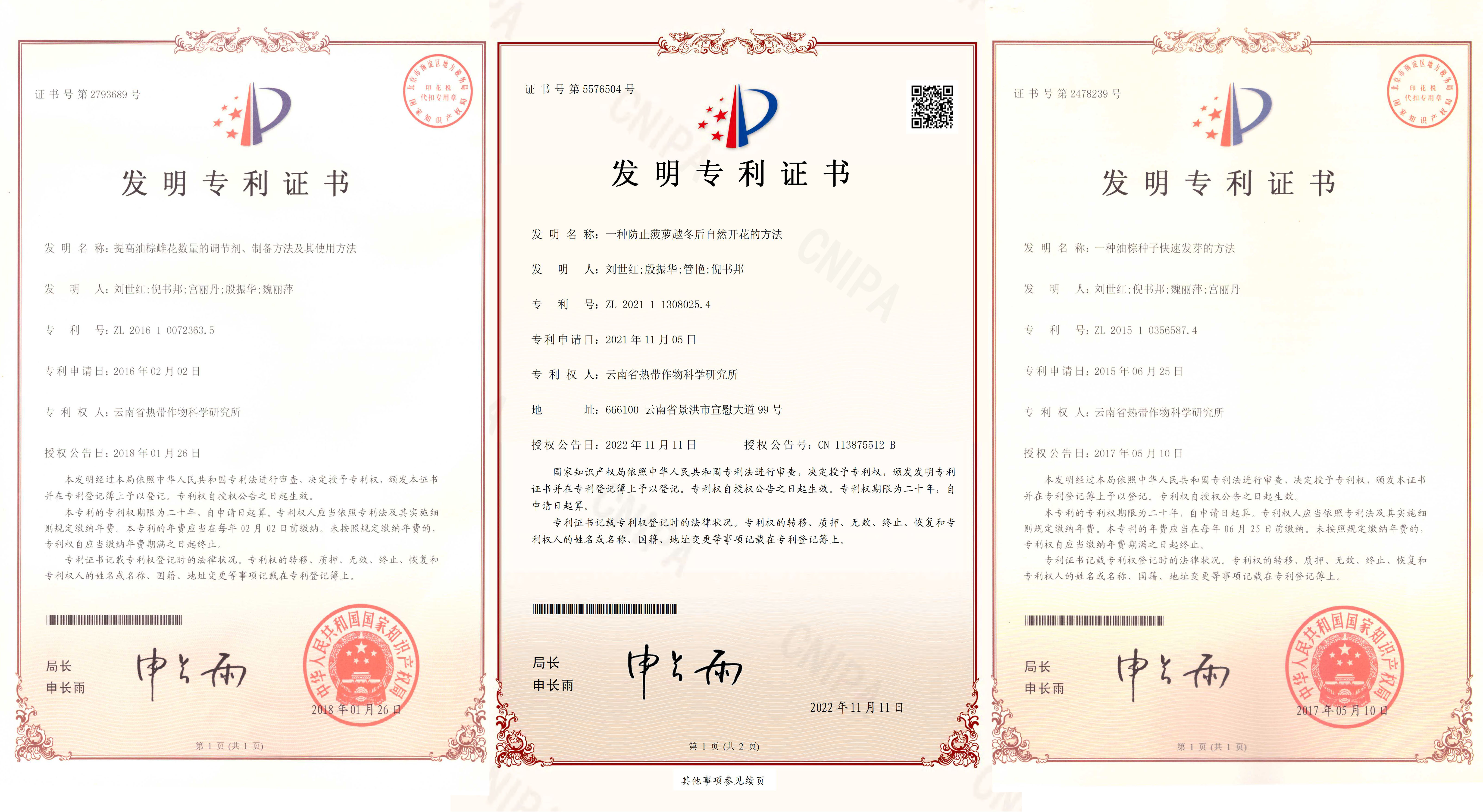 专利