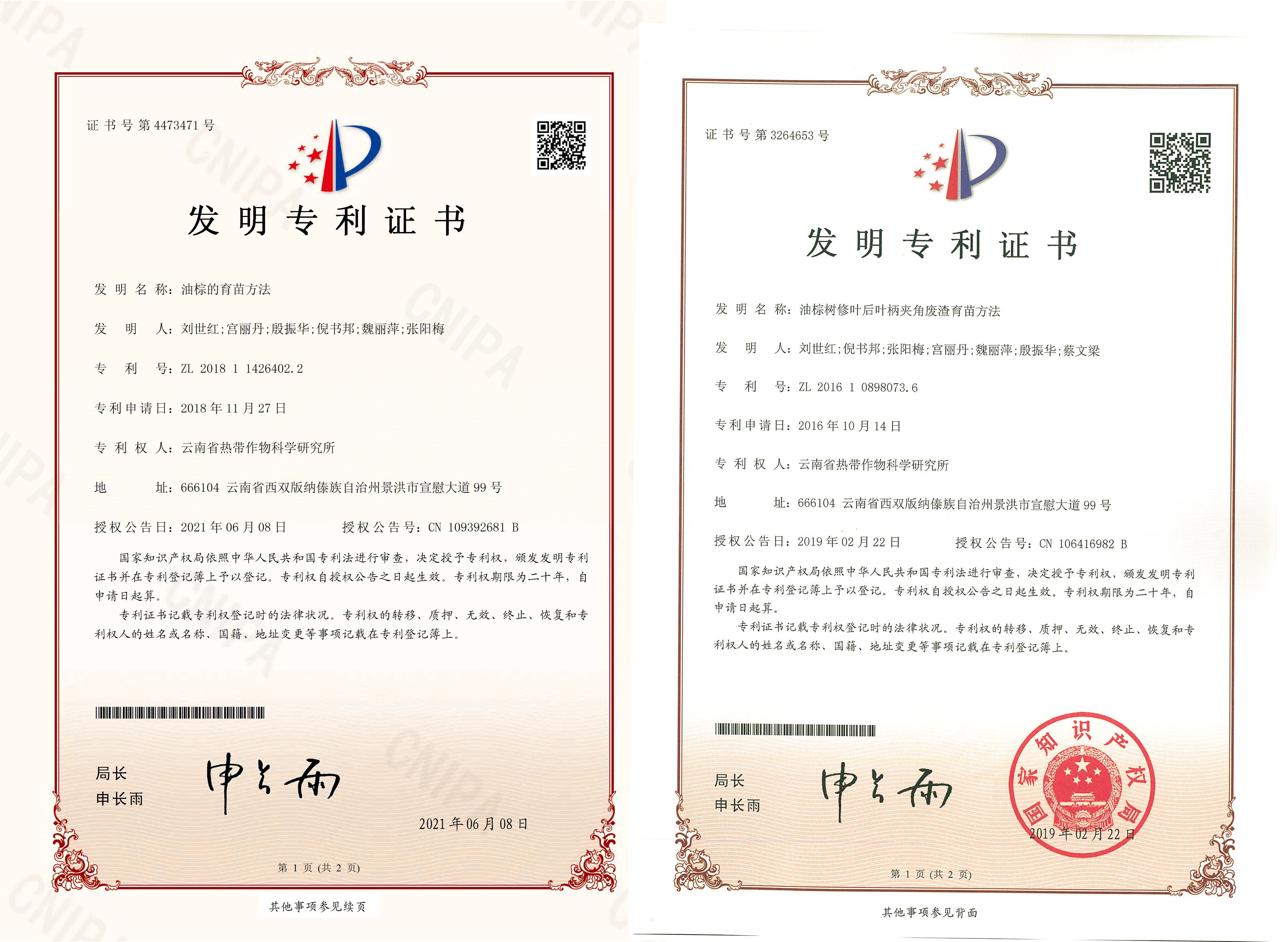 专利