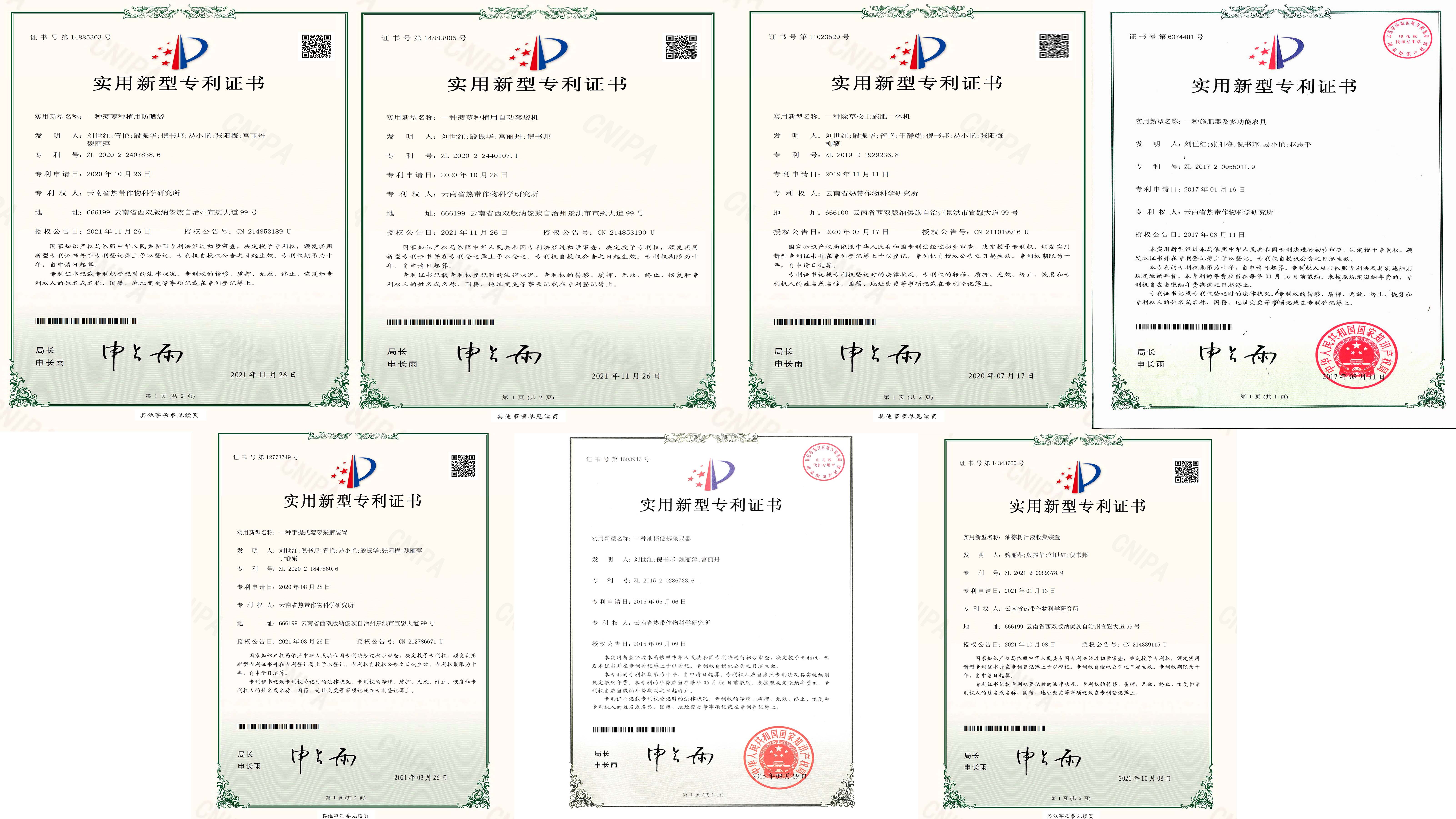 专利