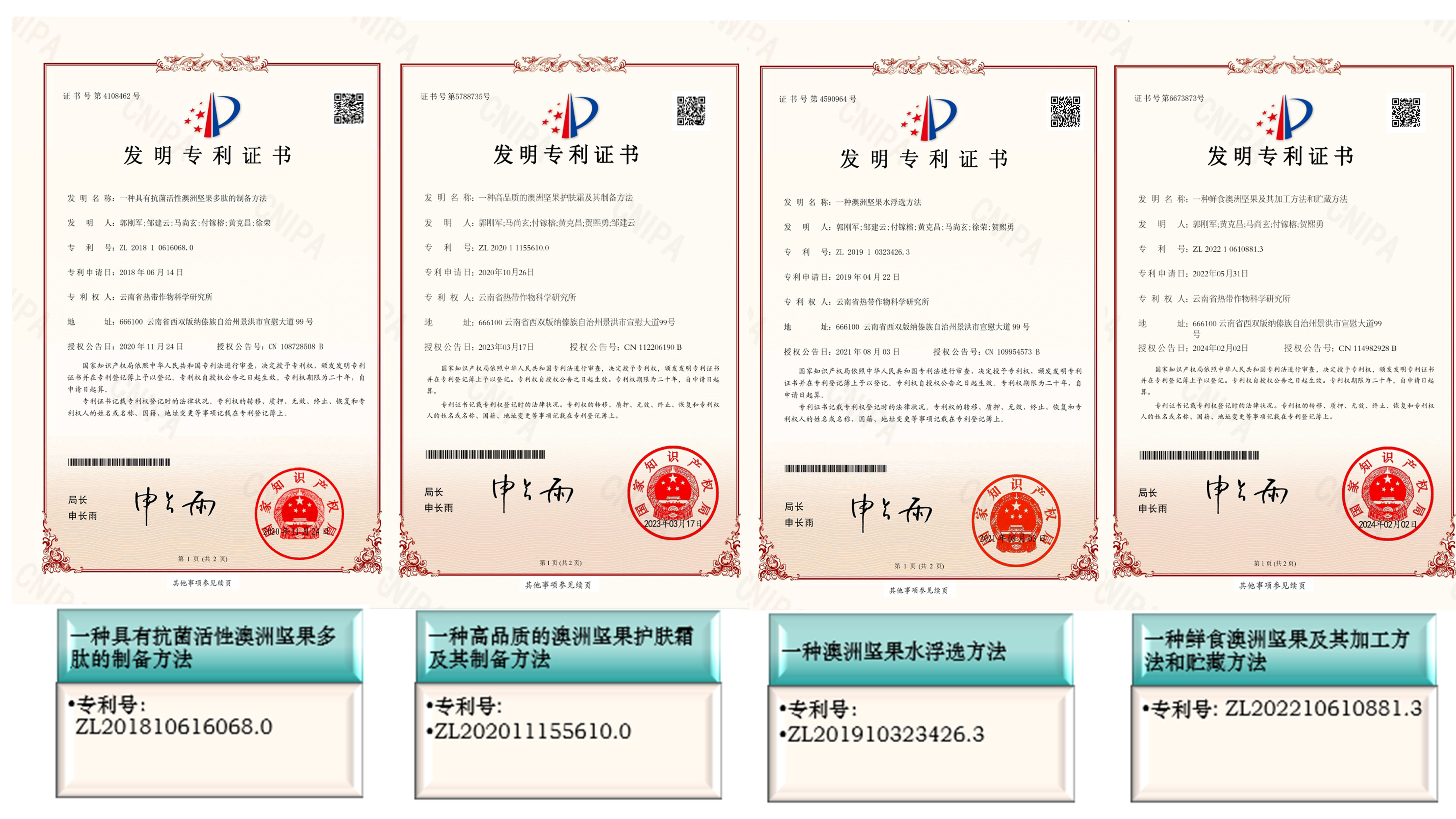 专利