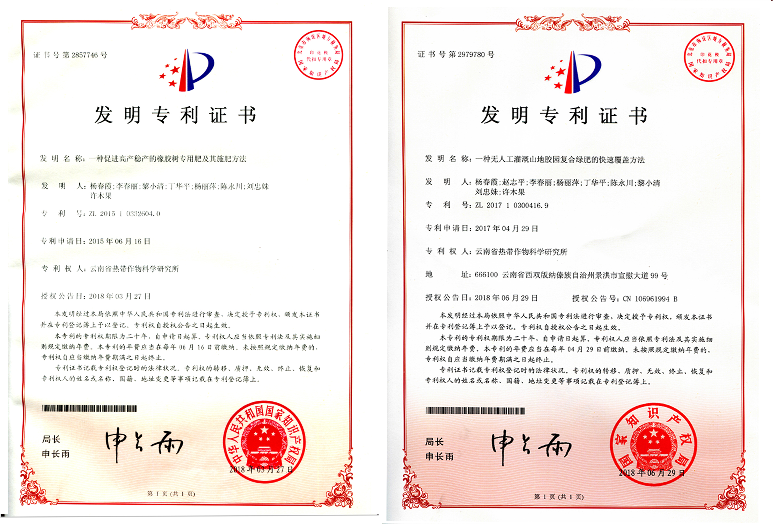 专利