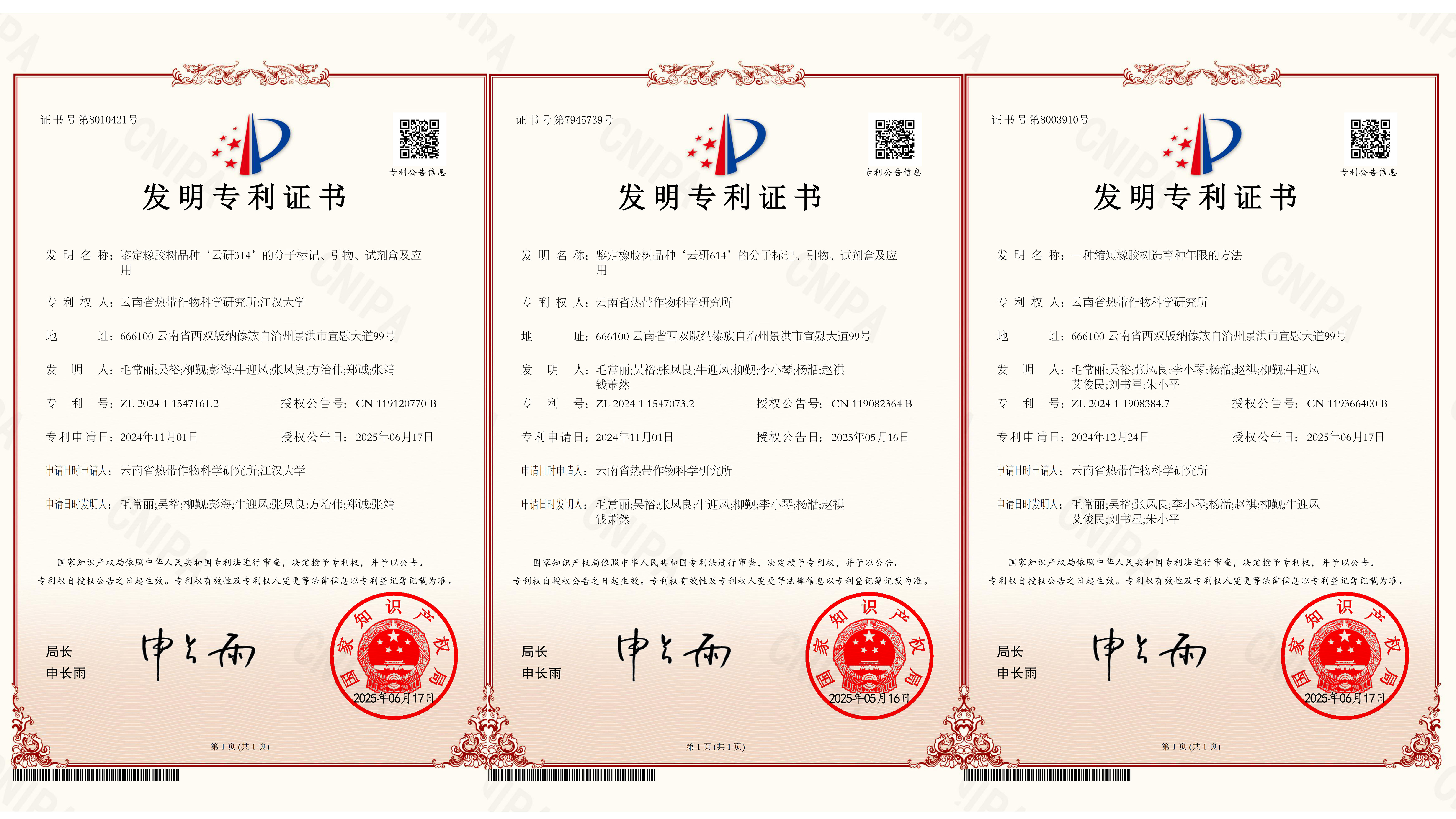 专利