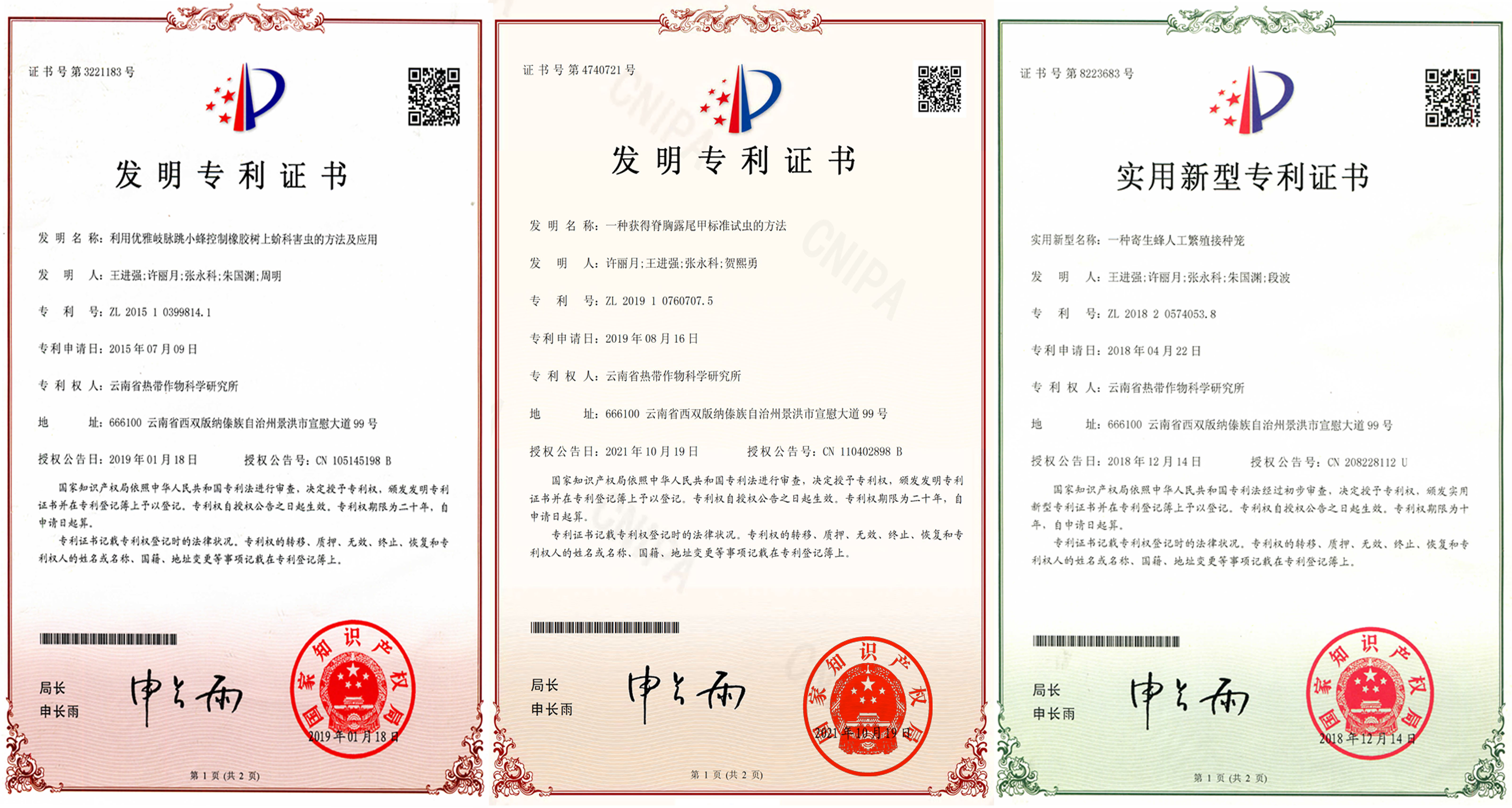 专利