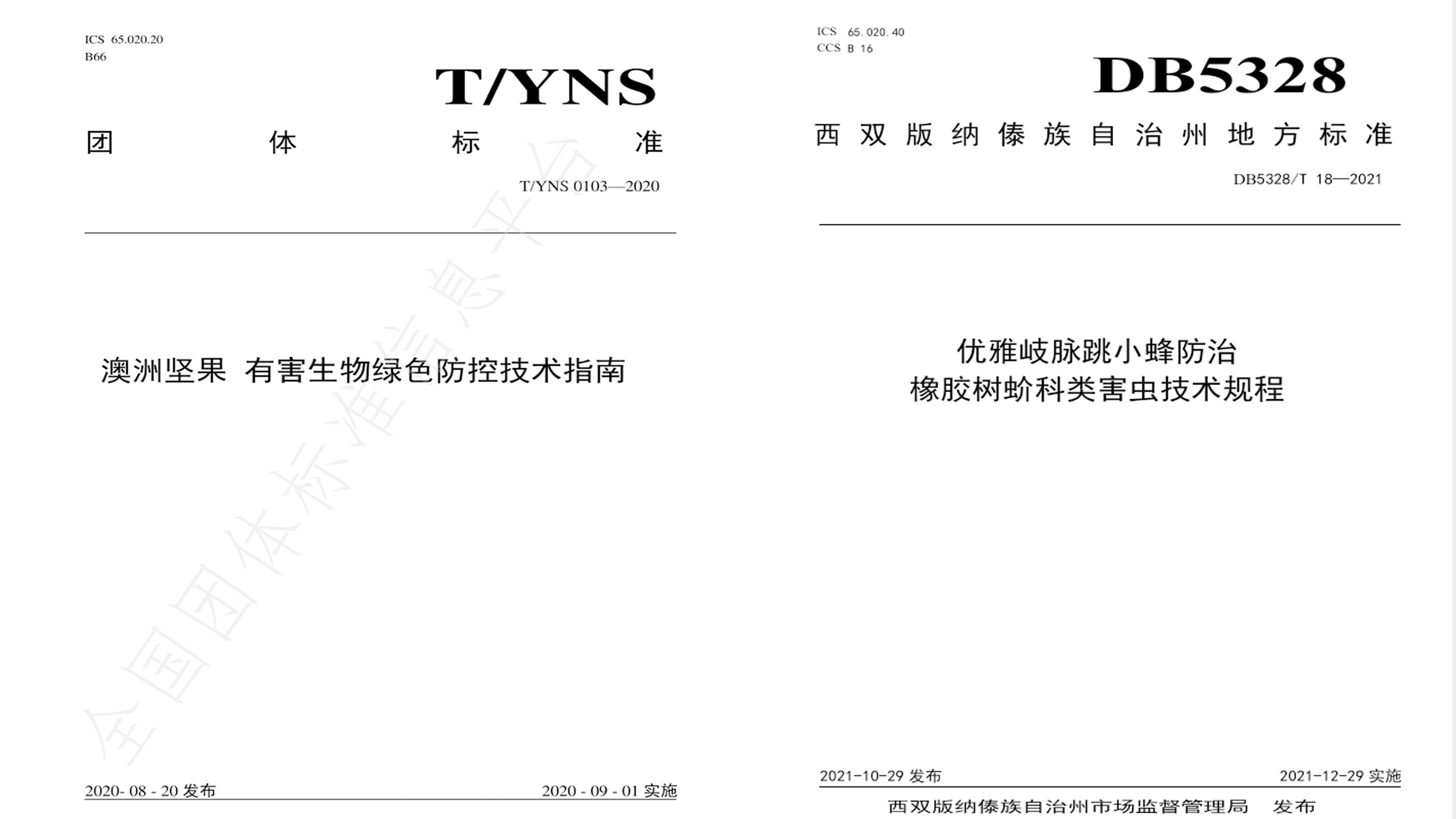 标准