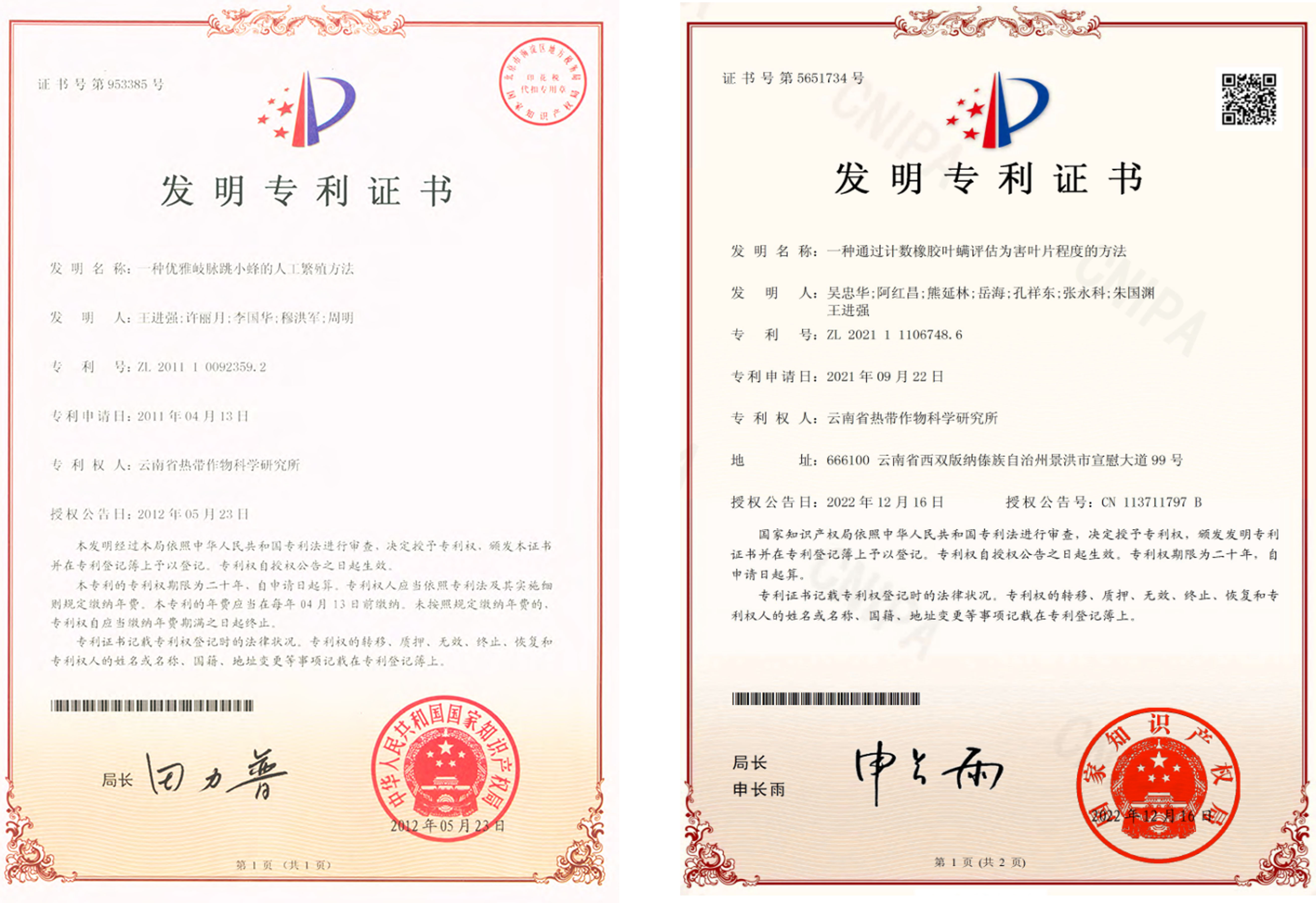 专利
