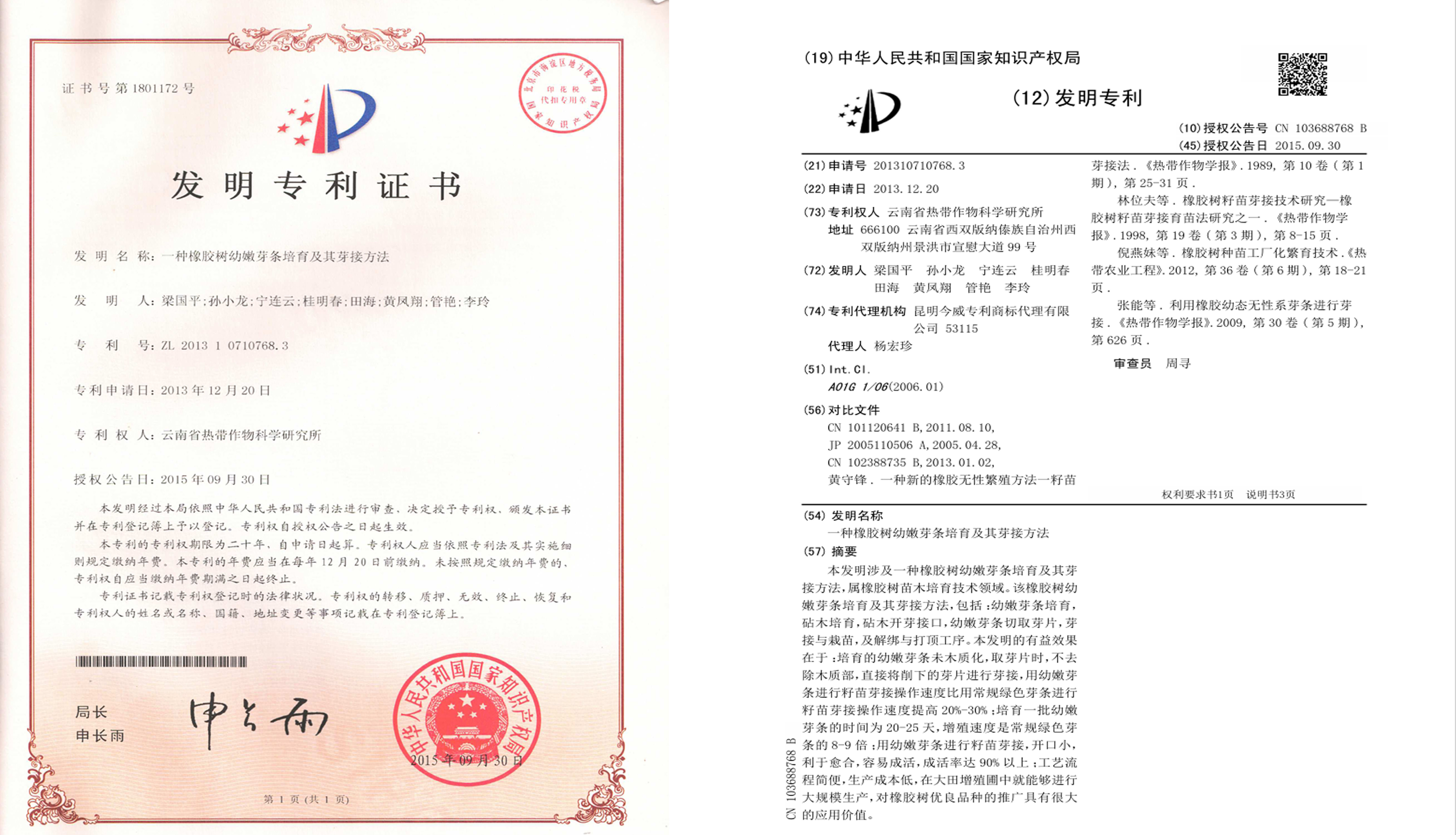专利
