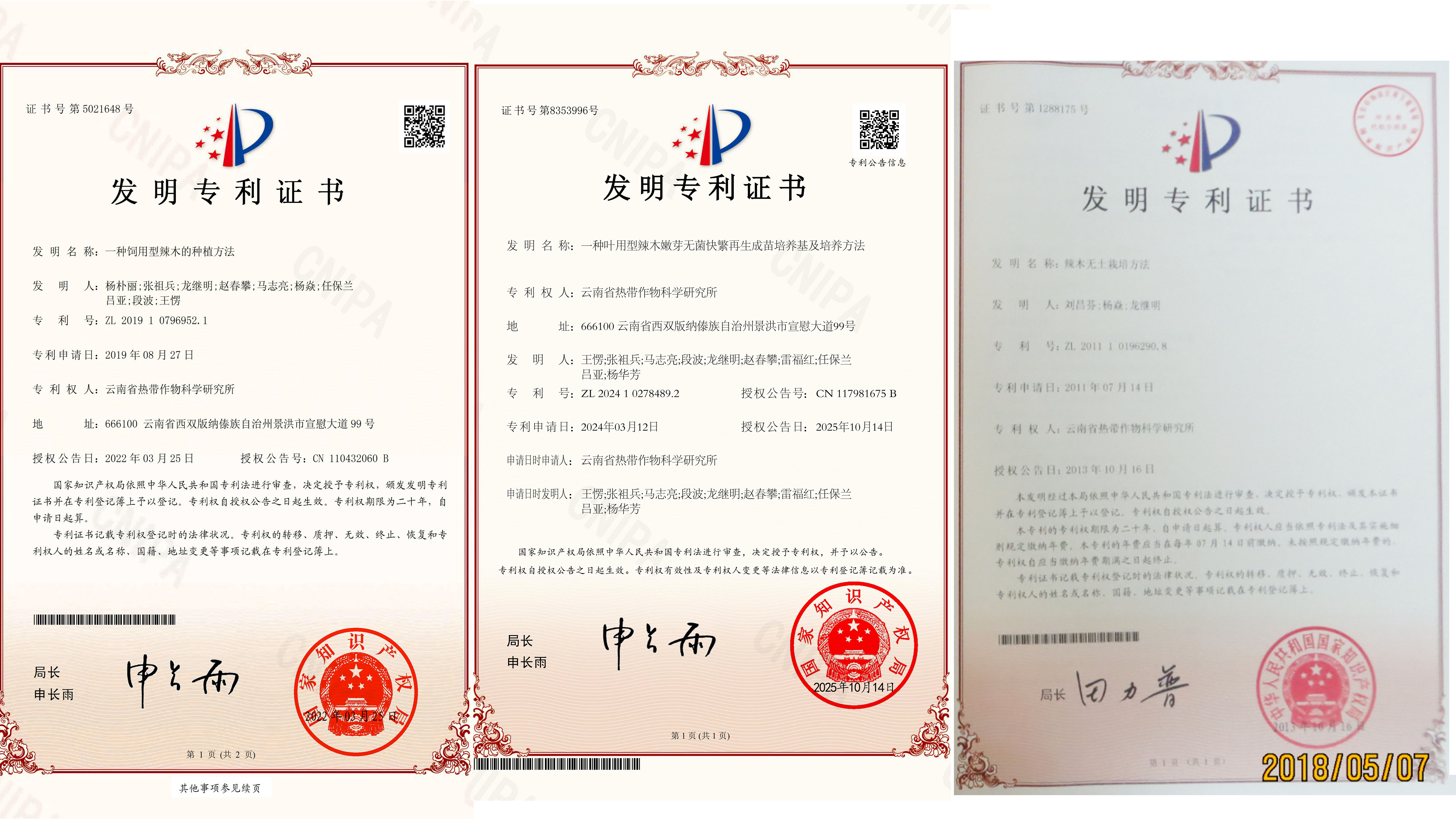 专利