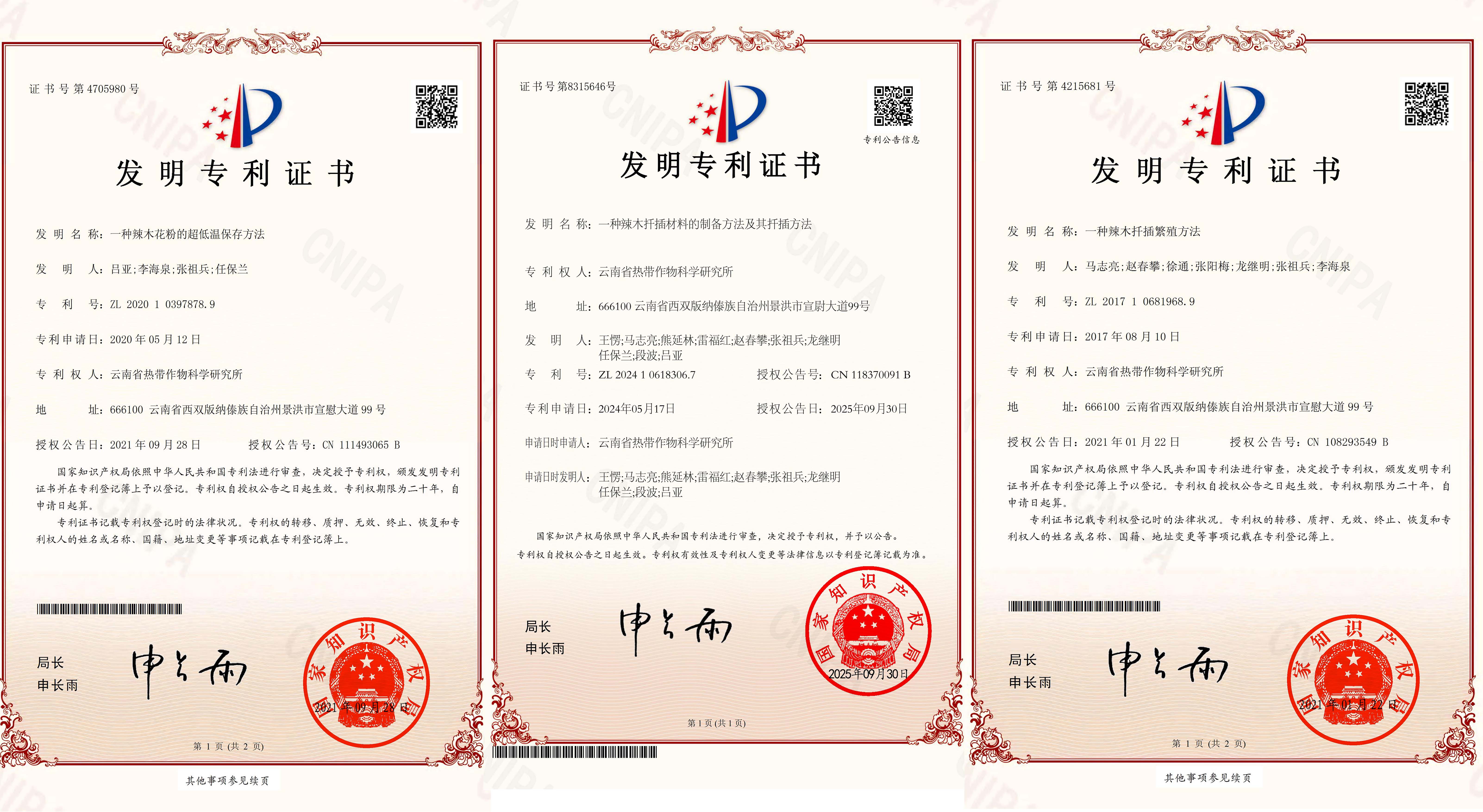 专利