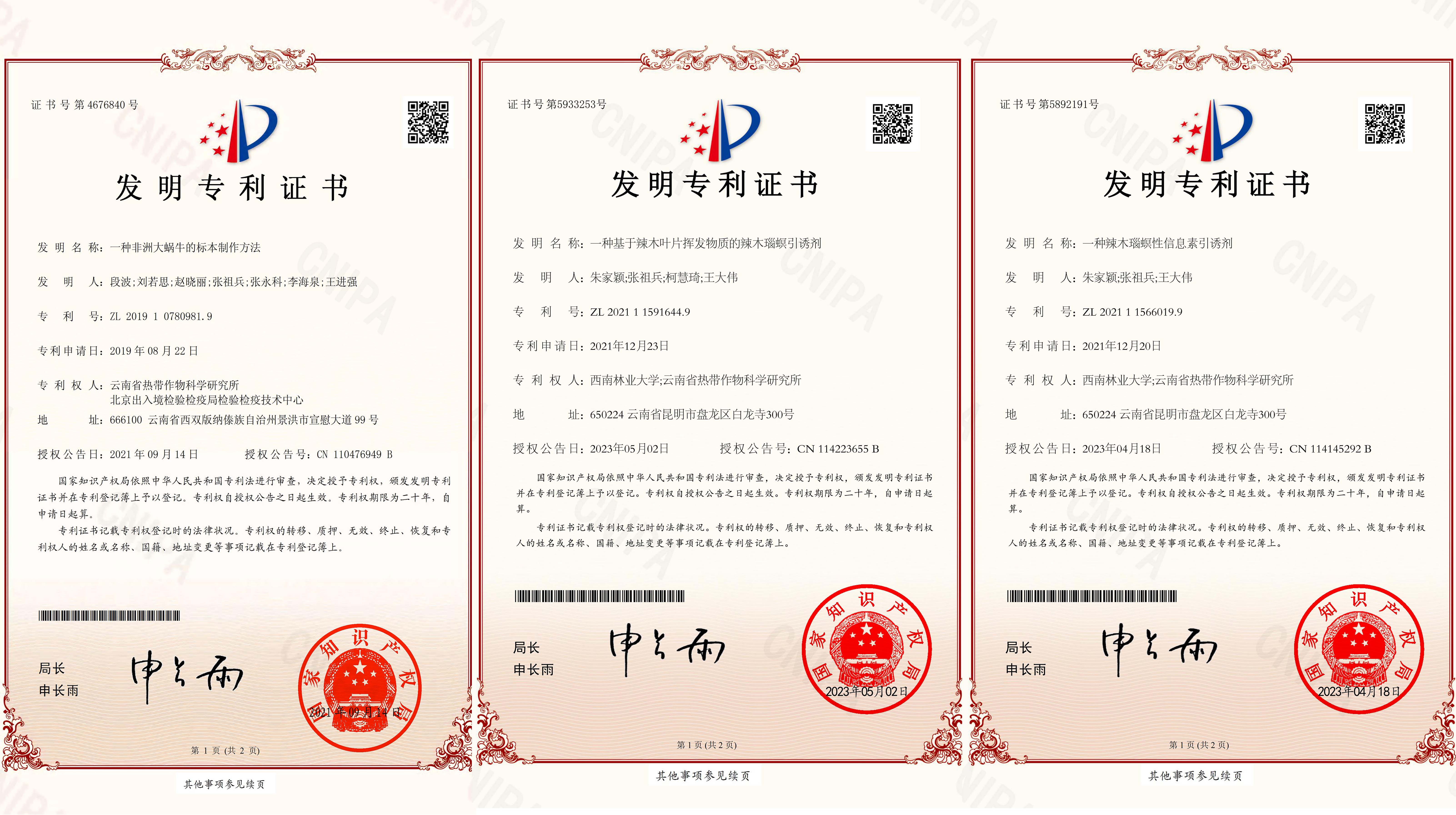专利