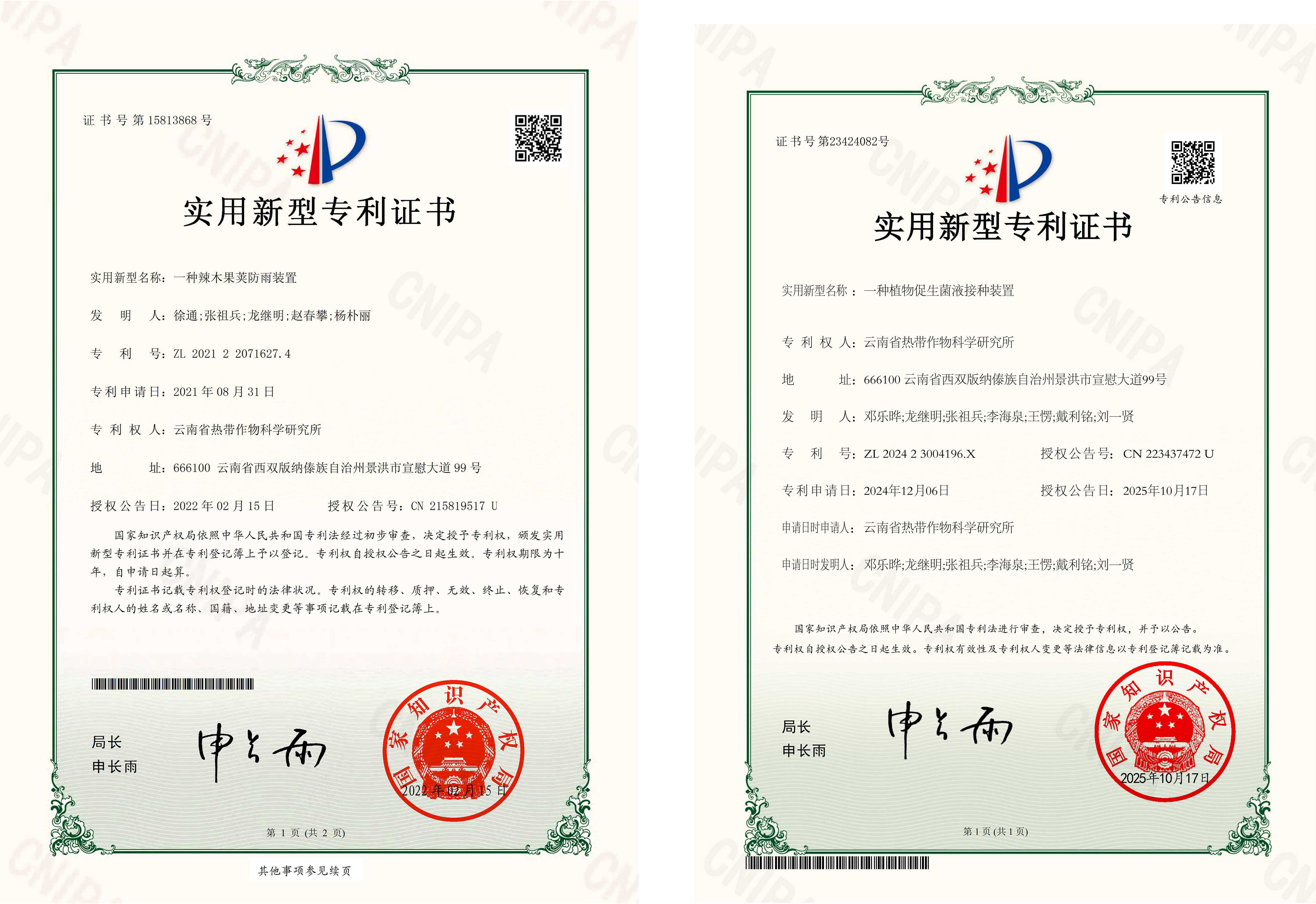 专利