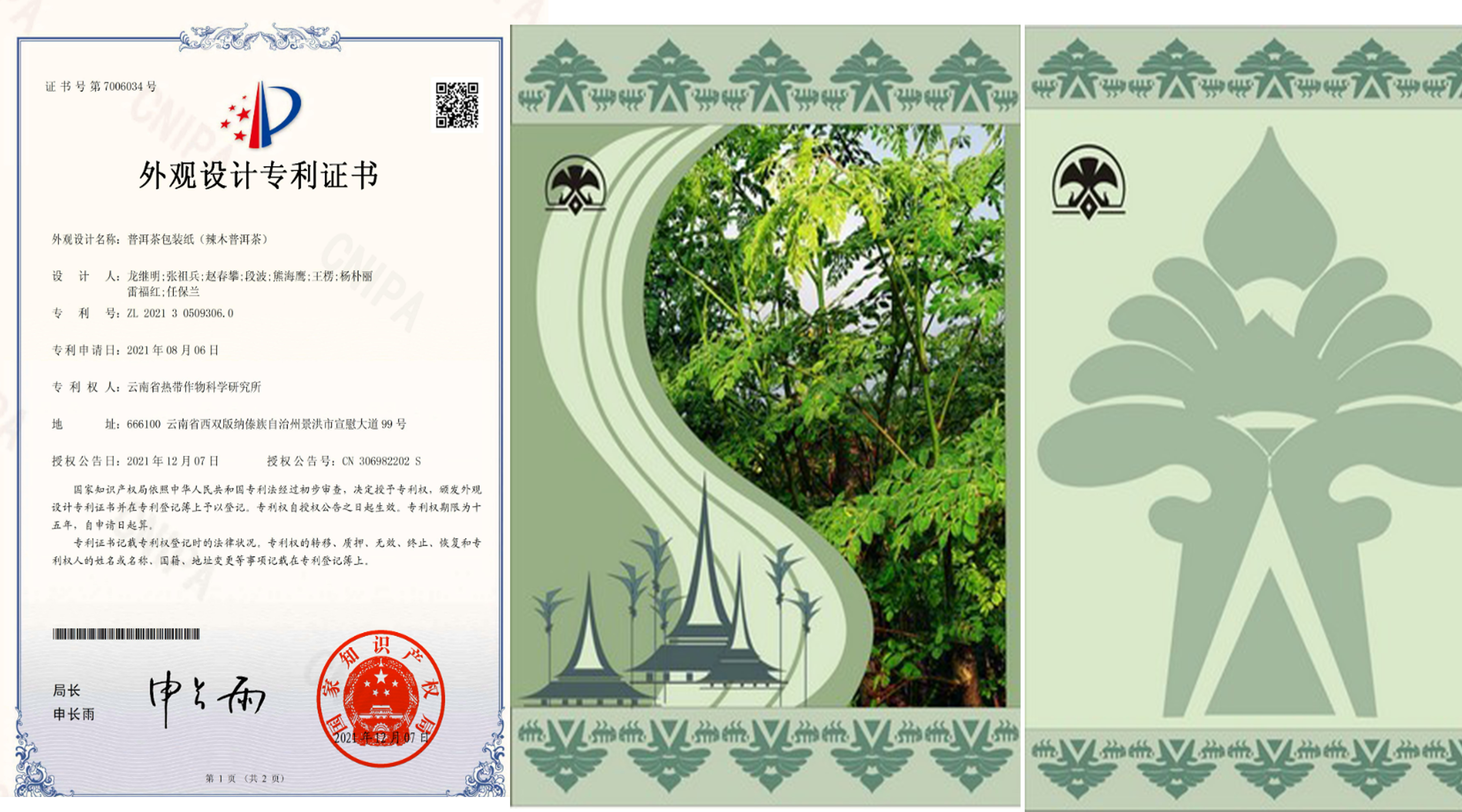专利